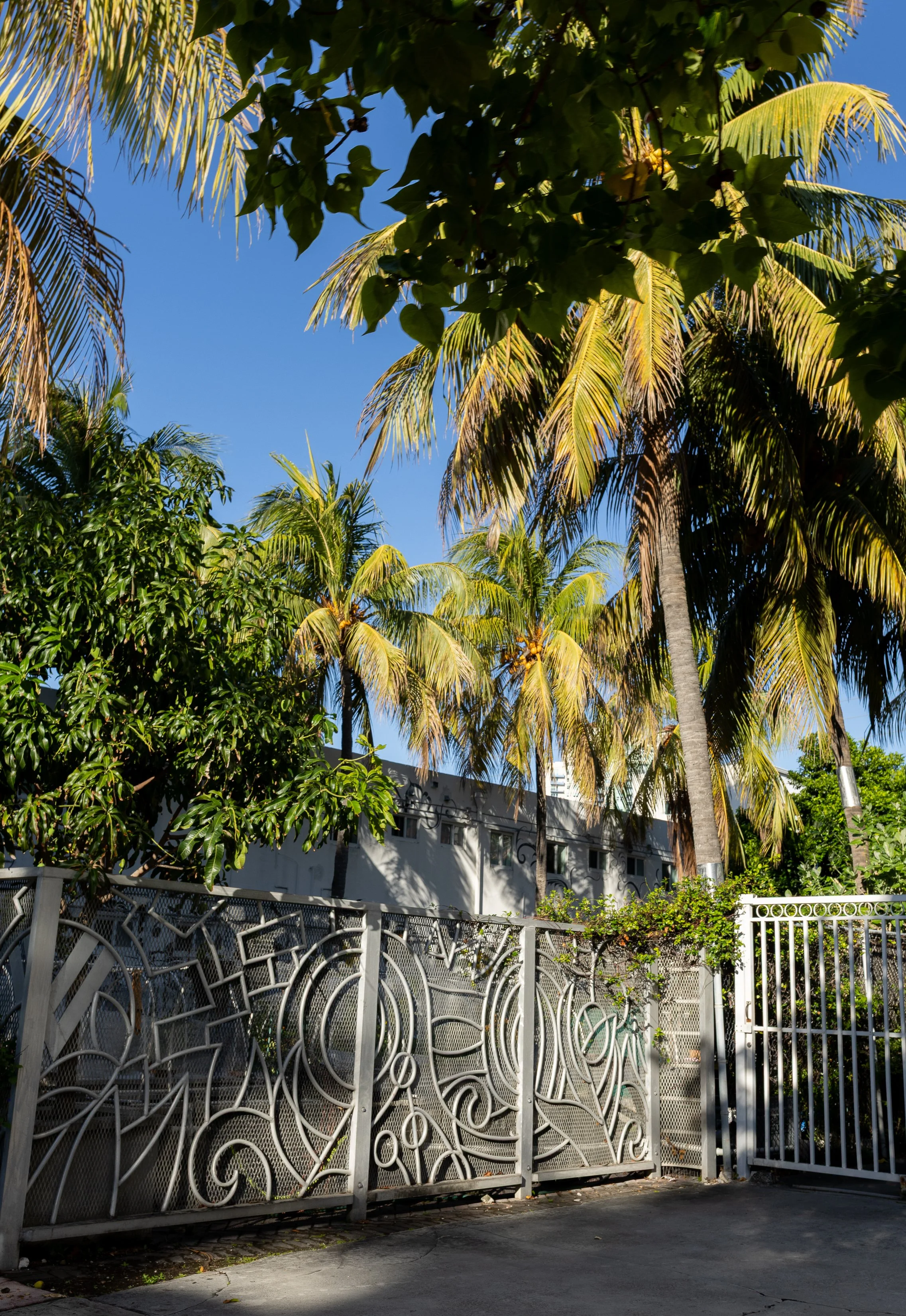 Miami-109.jpg