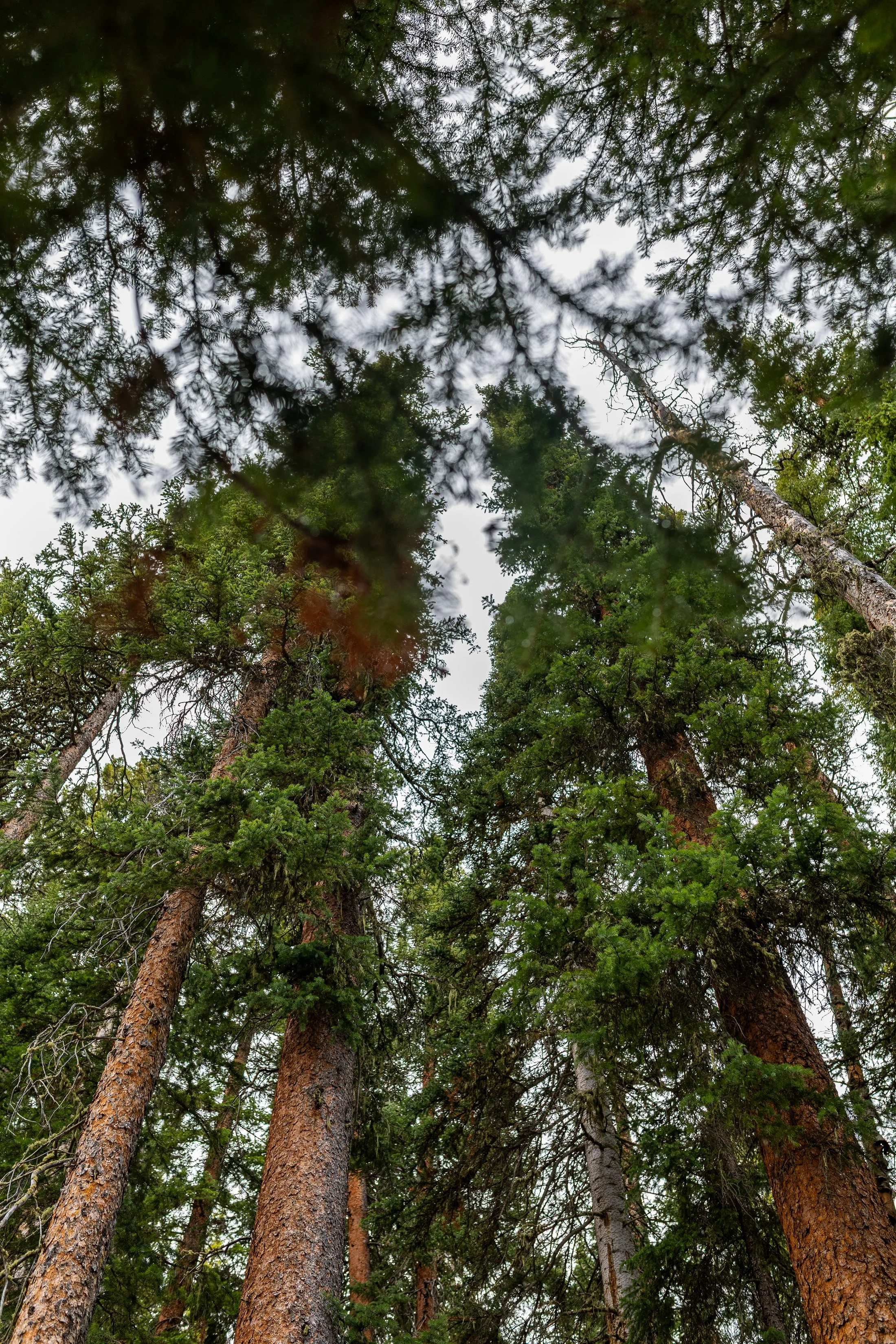 Meintzer-29.jpg