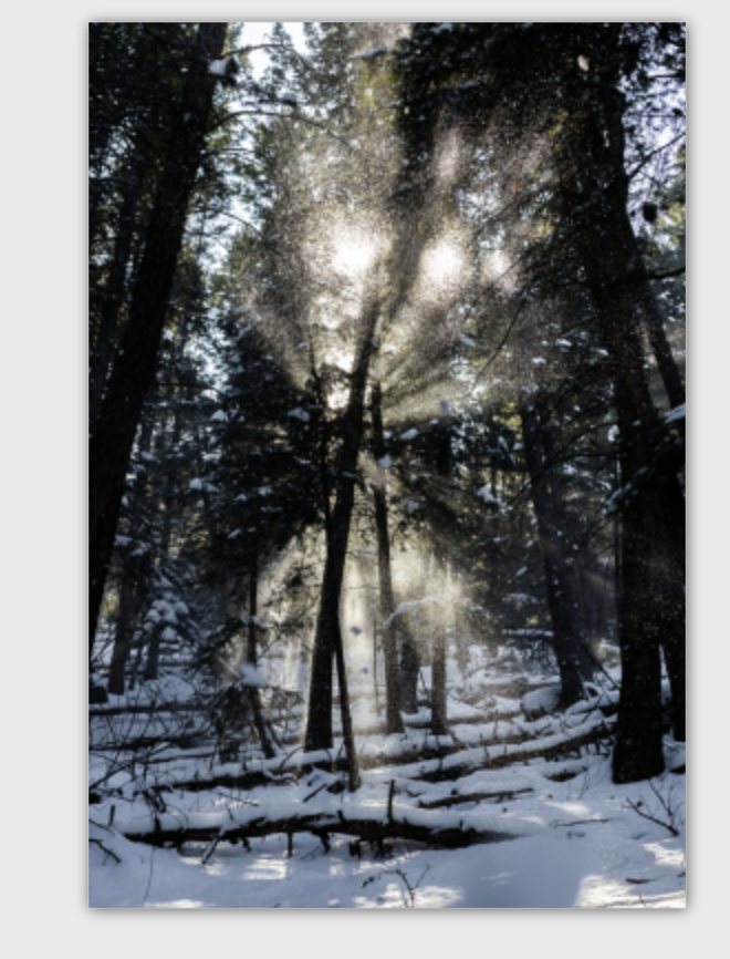 Screenshot 2026-02-09 at 2.09.01 PM.png