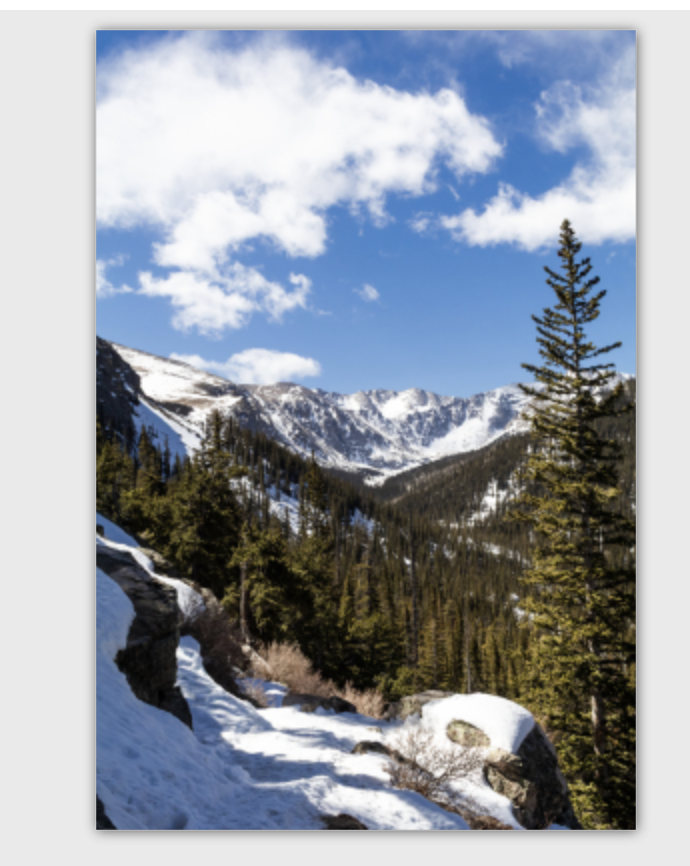 Screenshot 2026-02-09 at 2.08.58 PM.png