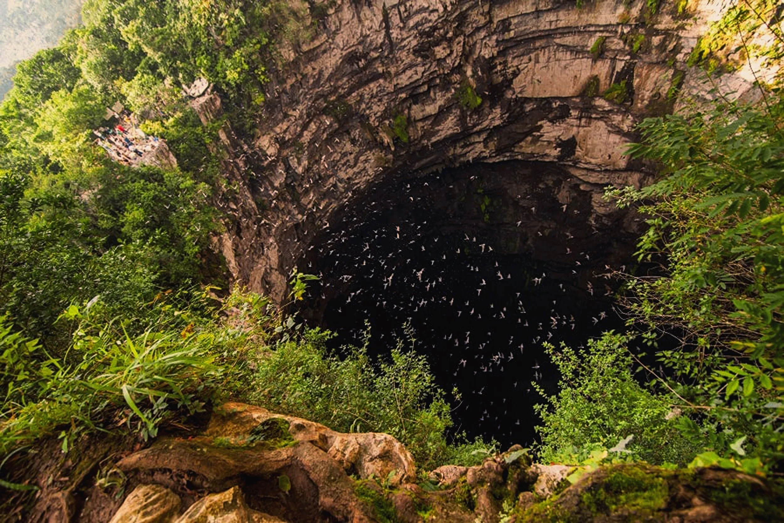 Sotano de las Golondrinas