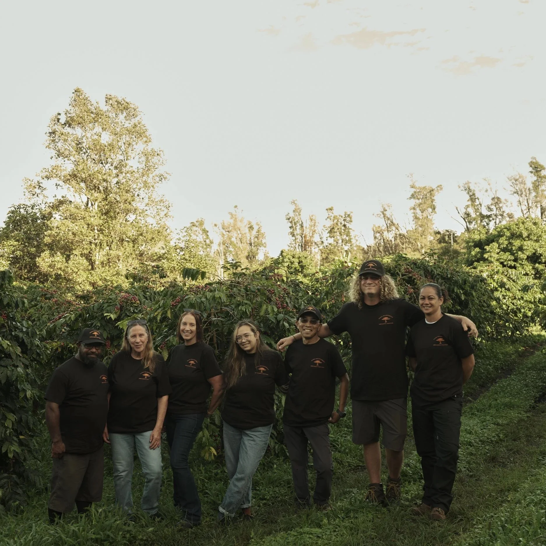 100% Kona | Kona Rainforest Farms | Washed | SL34