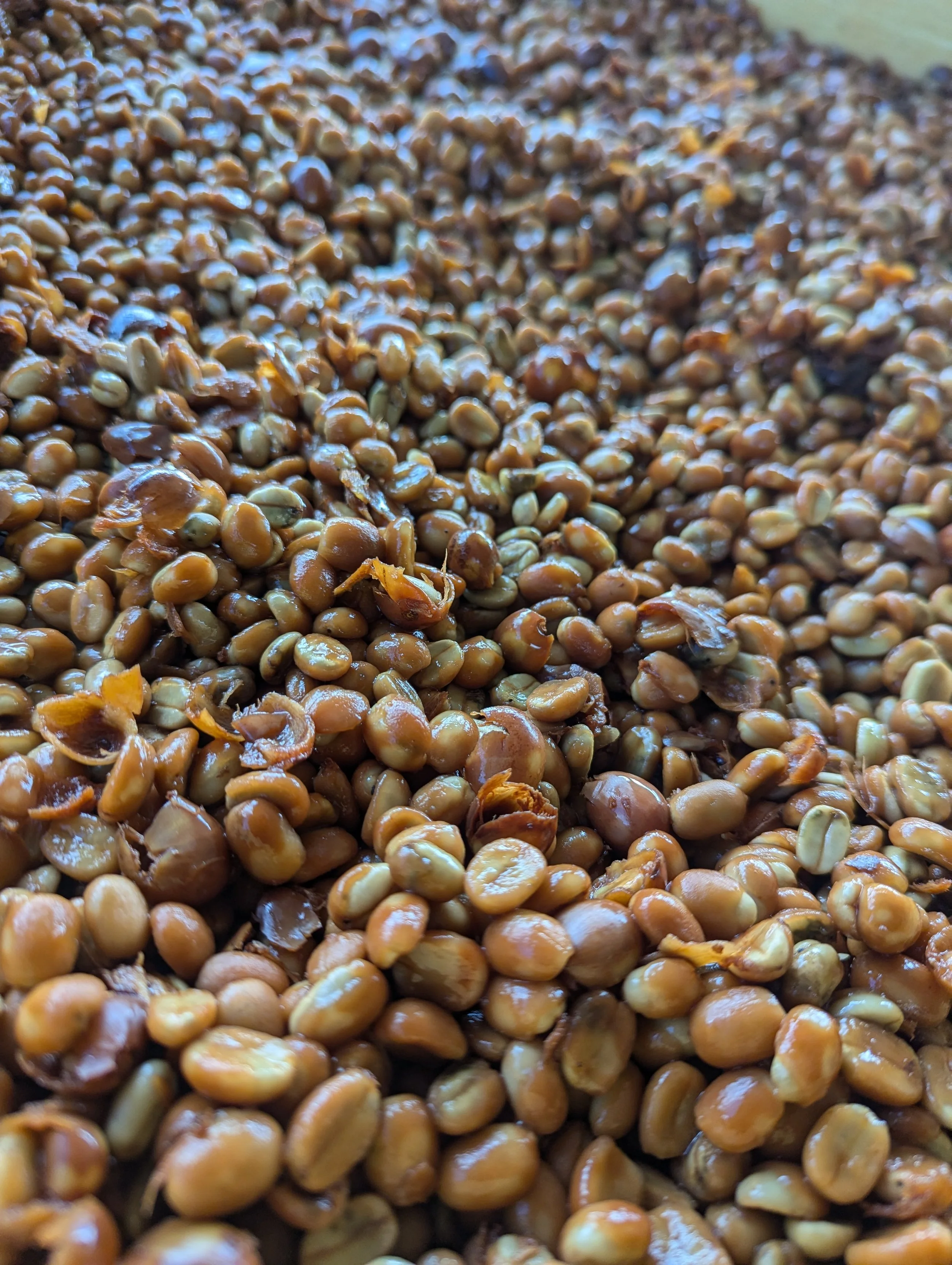 Golden Honey Drying