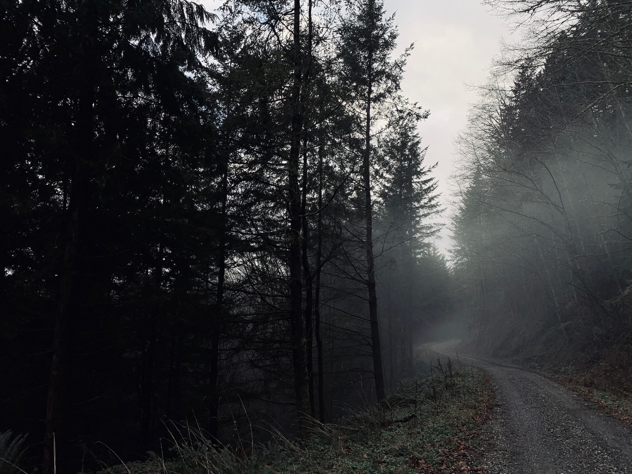 Image Credit: Lilith Matilda Gearhart
