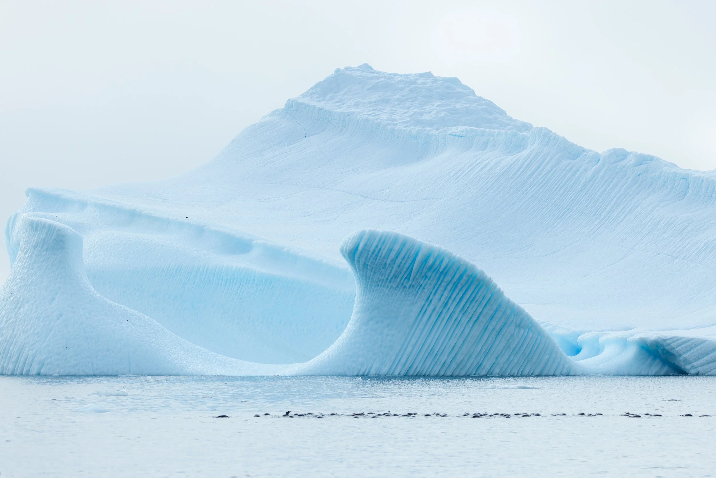 @Julie_Chandelier_Antarctica-8.jpg