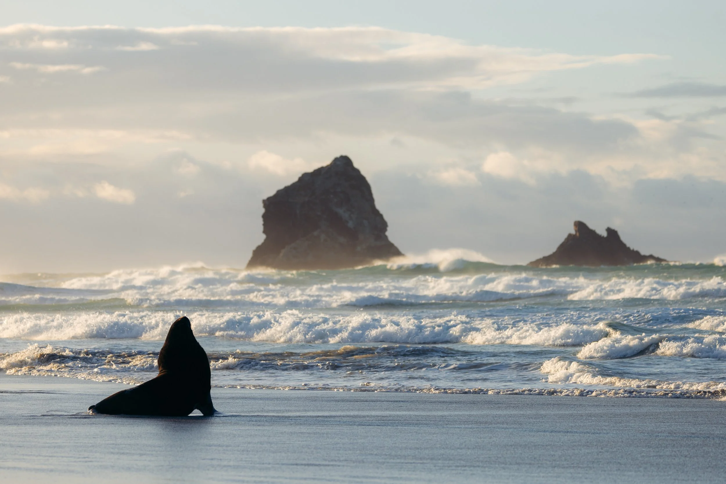 @Julie_Chandelier_New Zealand_South Island-4.jpg