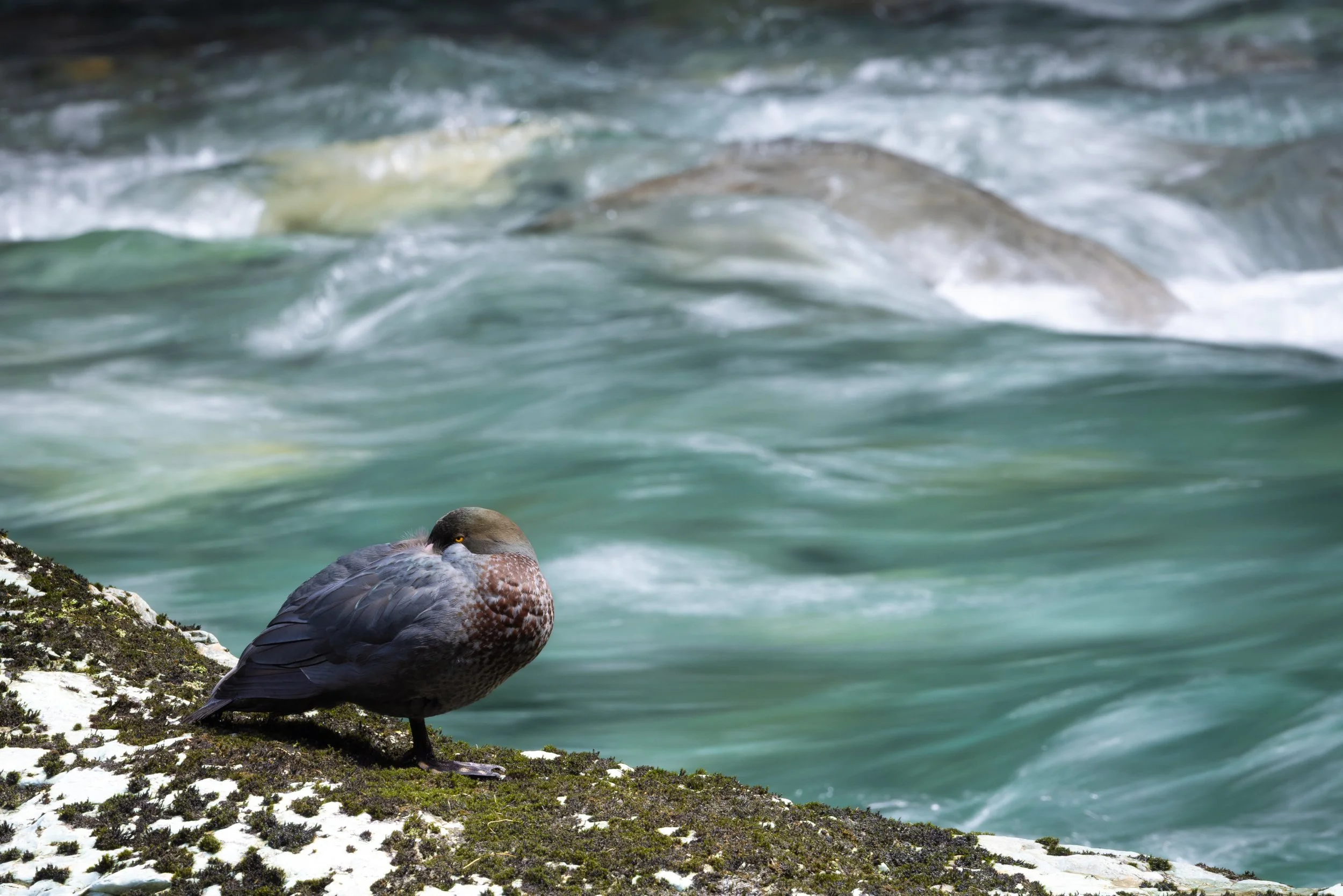 @Julie_Chandelier_New Zealand_South Island-7.jpg