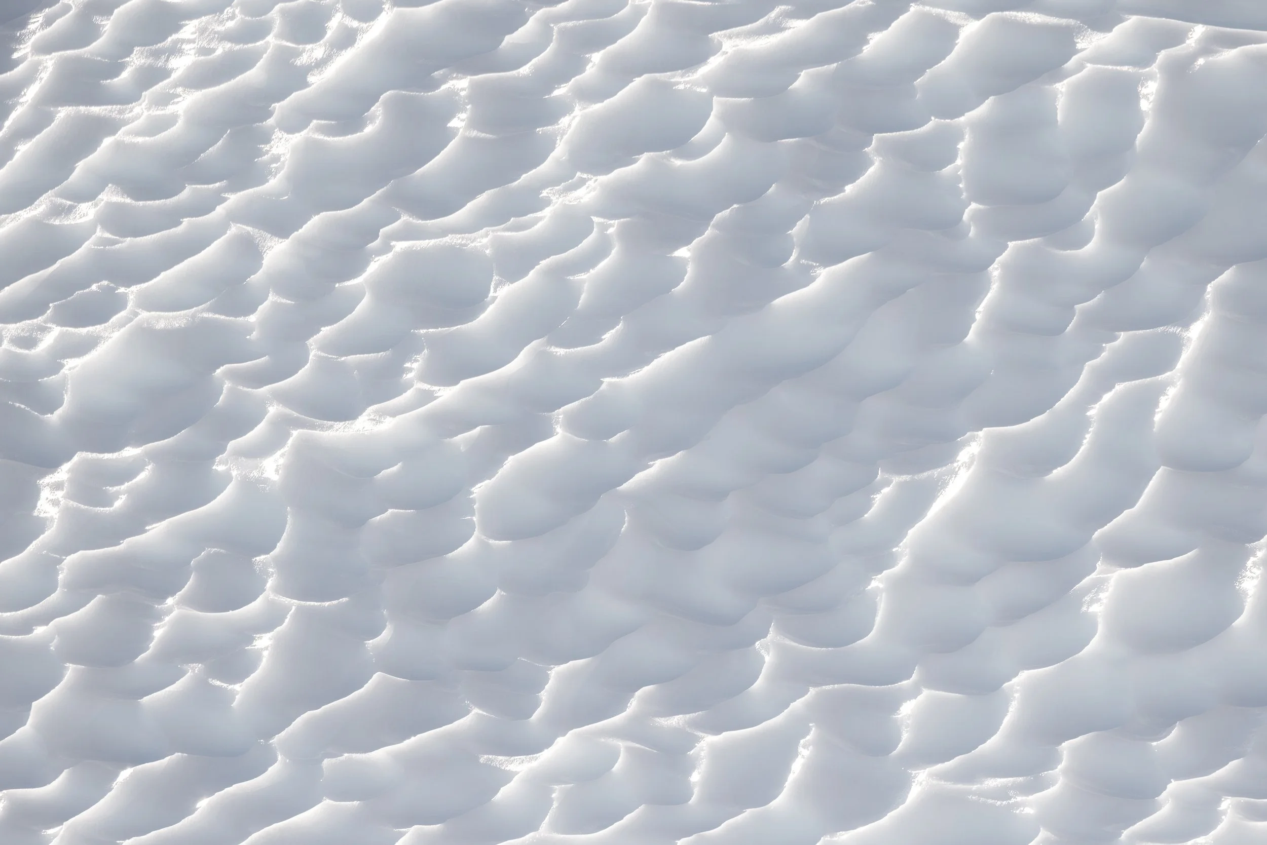 @Julie_Chandelier_Antarctica 2-13.jpg