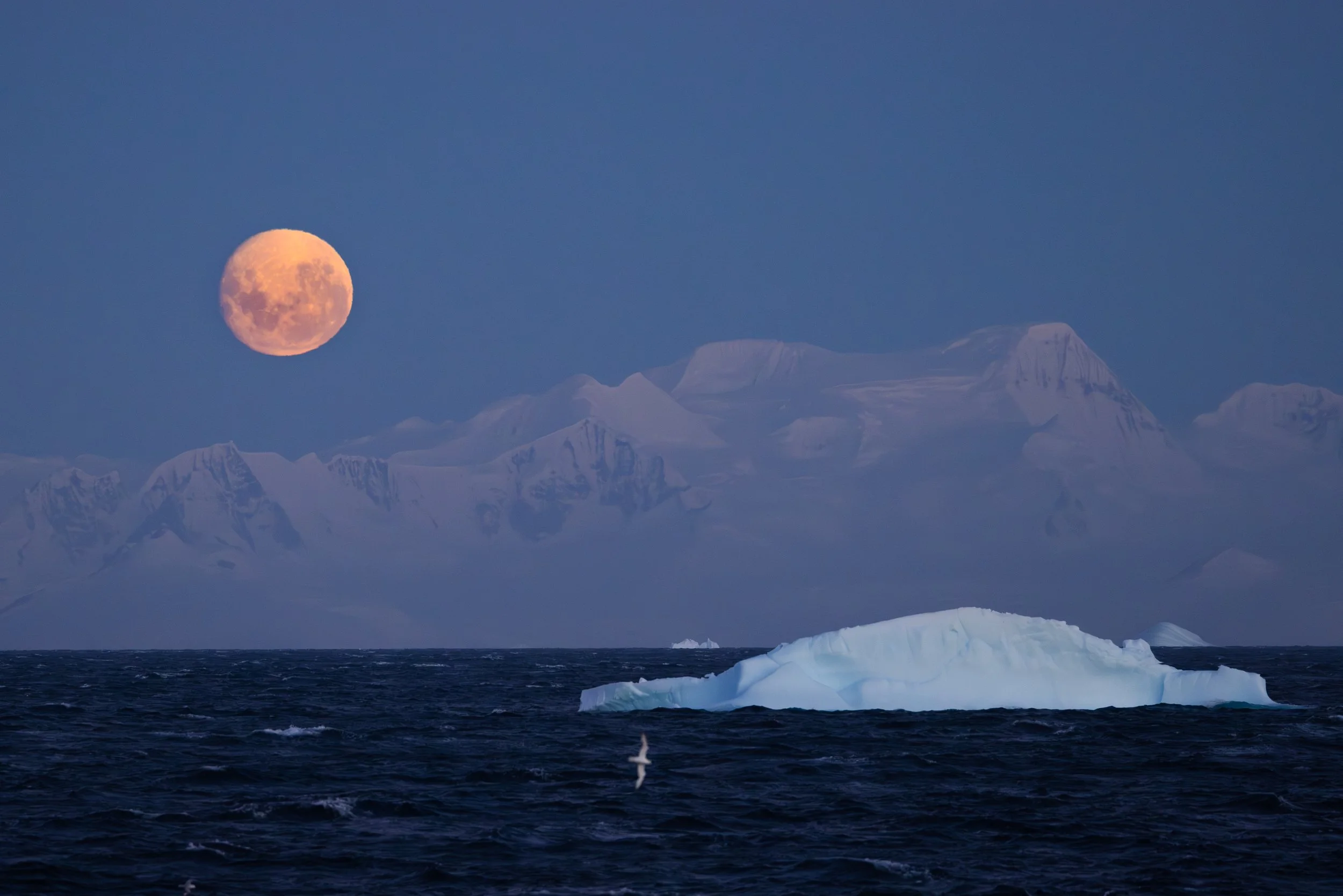 @Julie_Chandelier_Antarctica 2-23.jpg