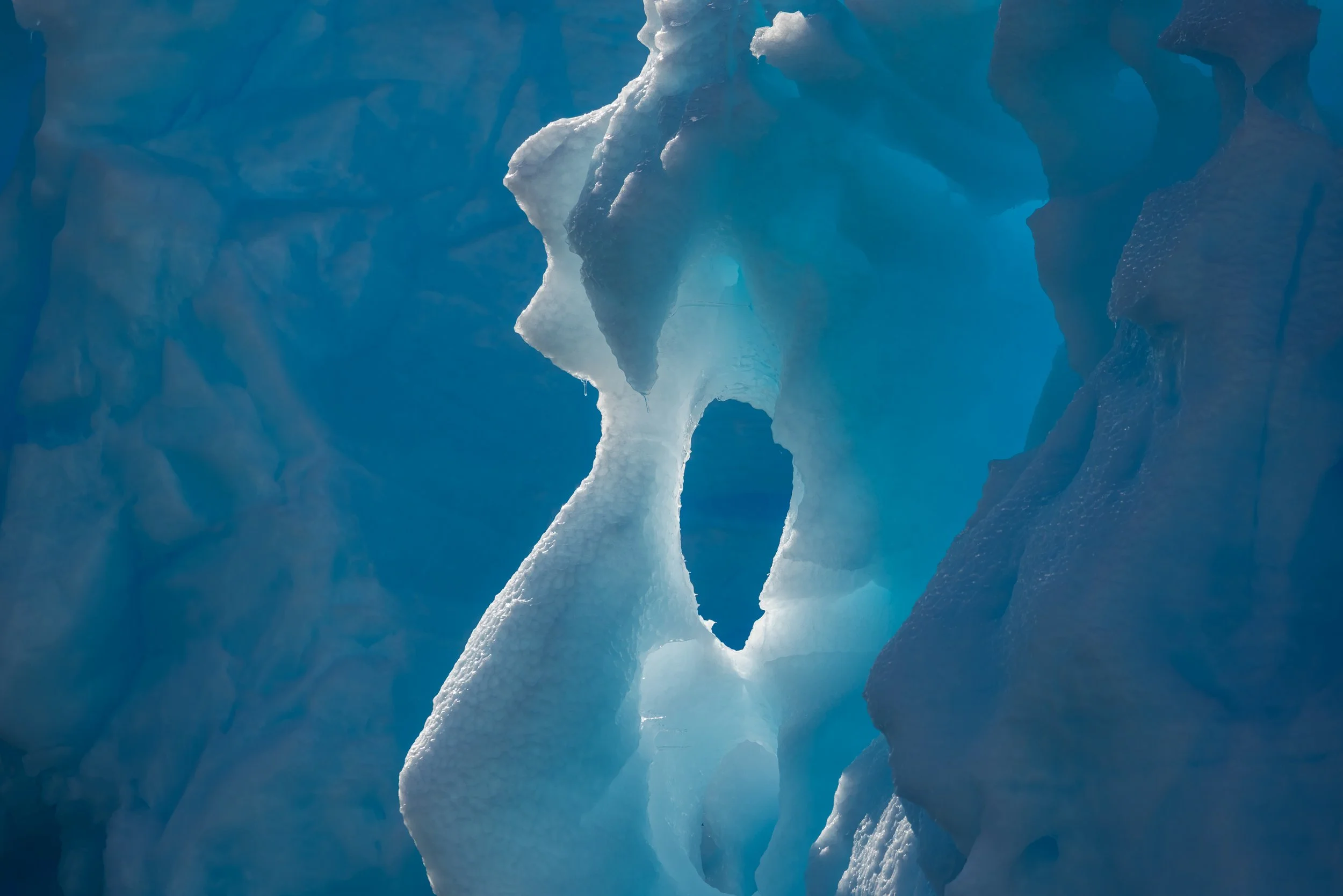 @Julie_Chandelier_Antarctica 2-28.jpg
