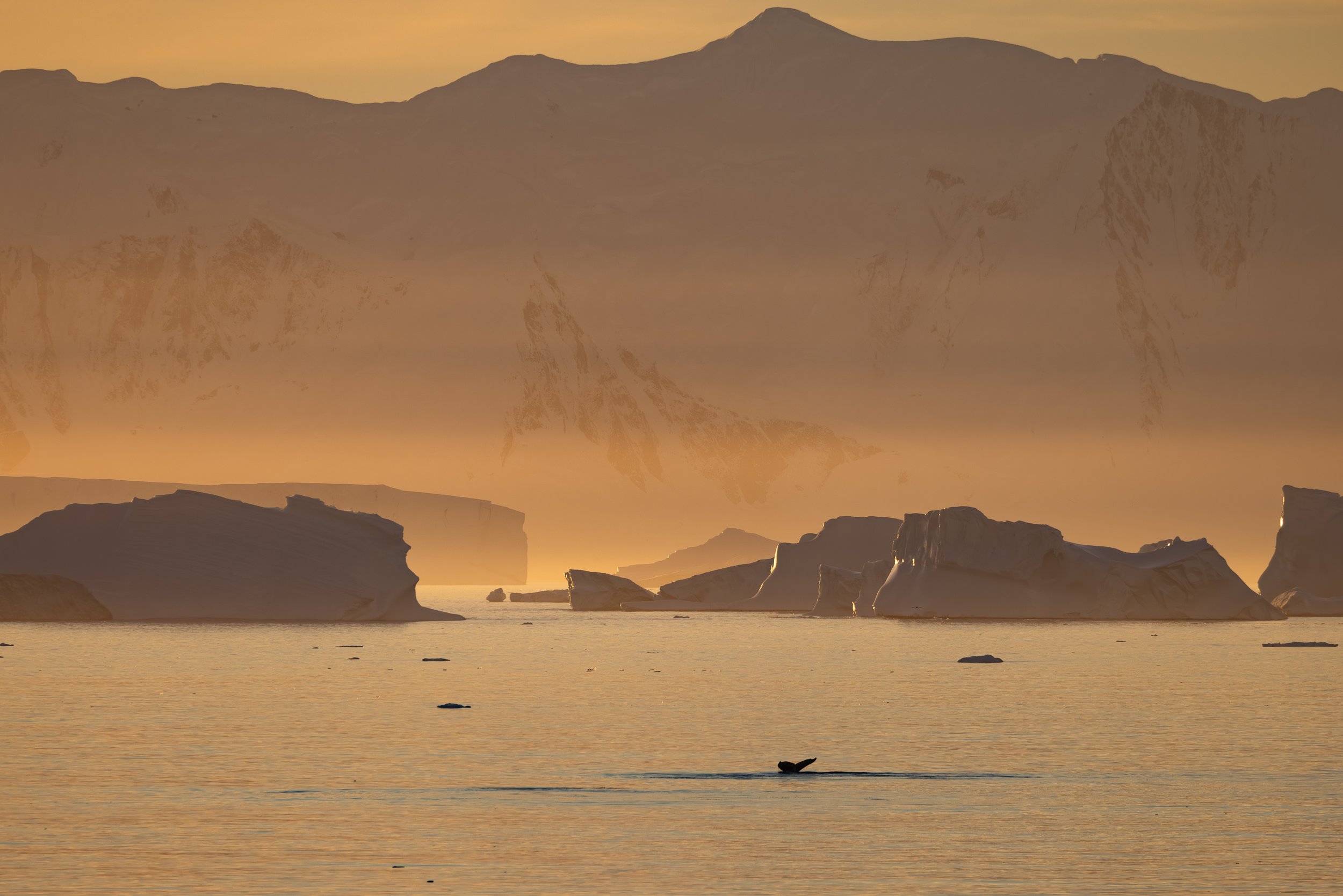 @Julie_Chandelier_Antarctica-2.jpg