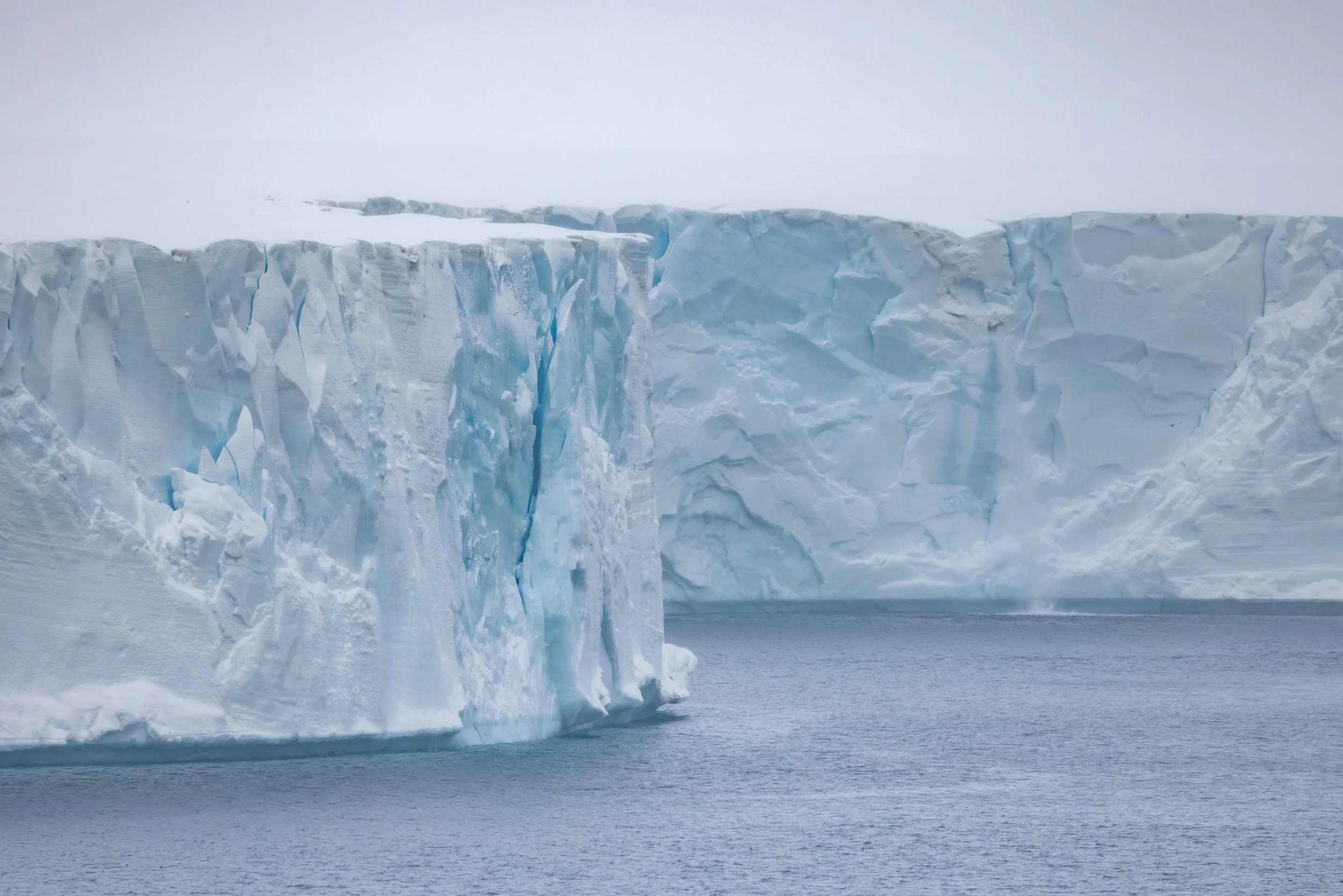 @Julie_Chandelier_Svalbard and Bjørnøya-6.jpg