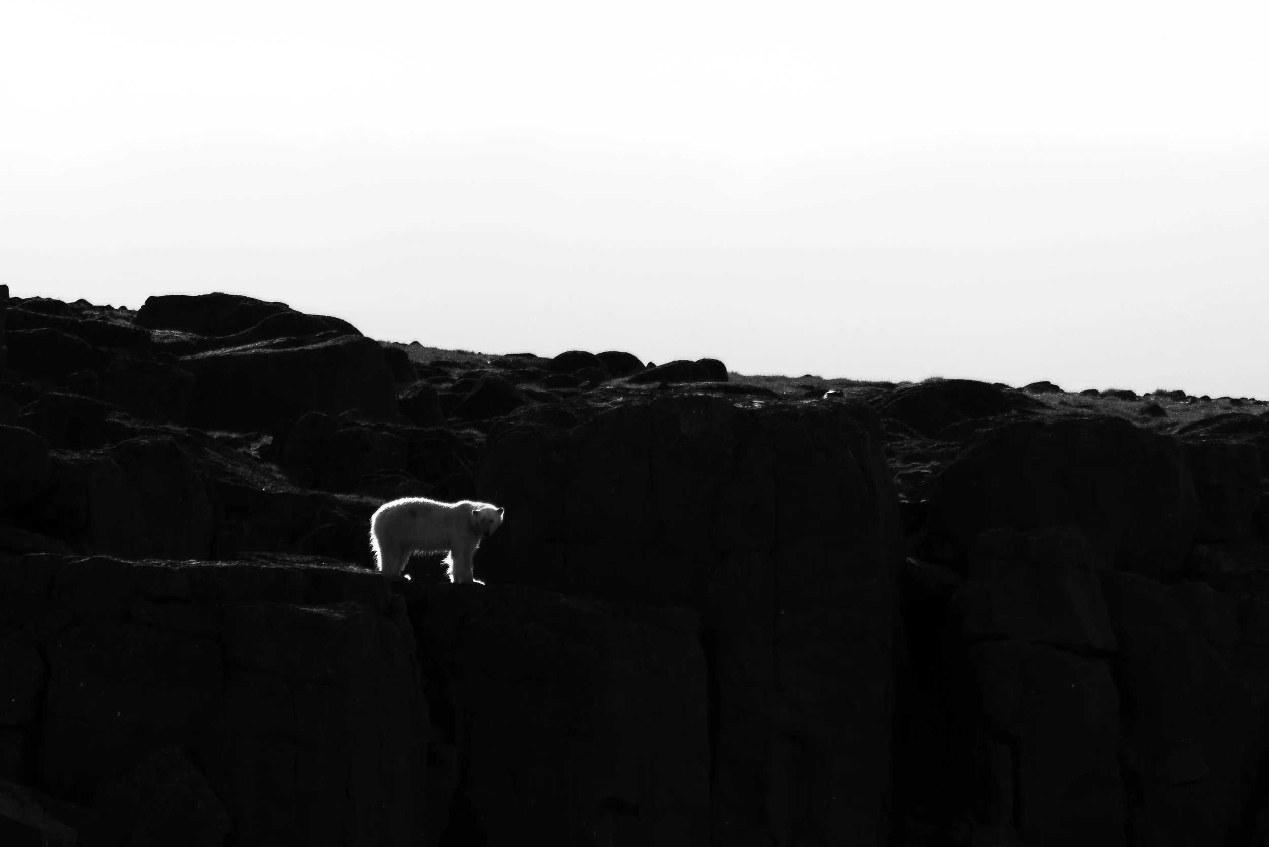 @Julie_Chandelier_Svalbard and Bjørnøya-14.jpg