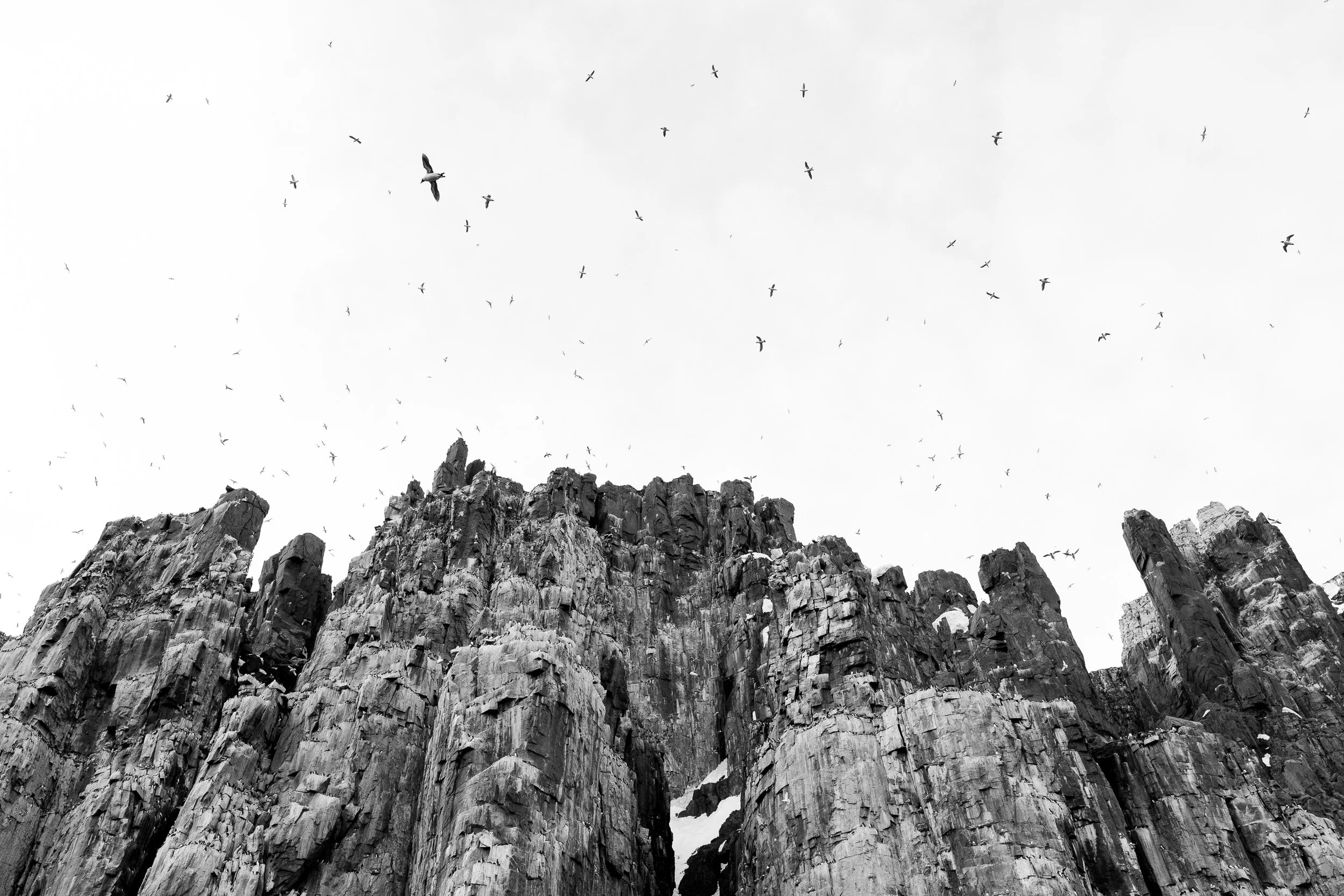 @Julie_Chandelier_Svalbard and Bjørnøya.jpg