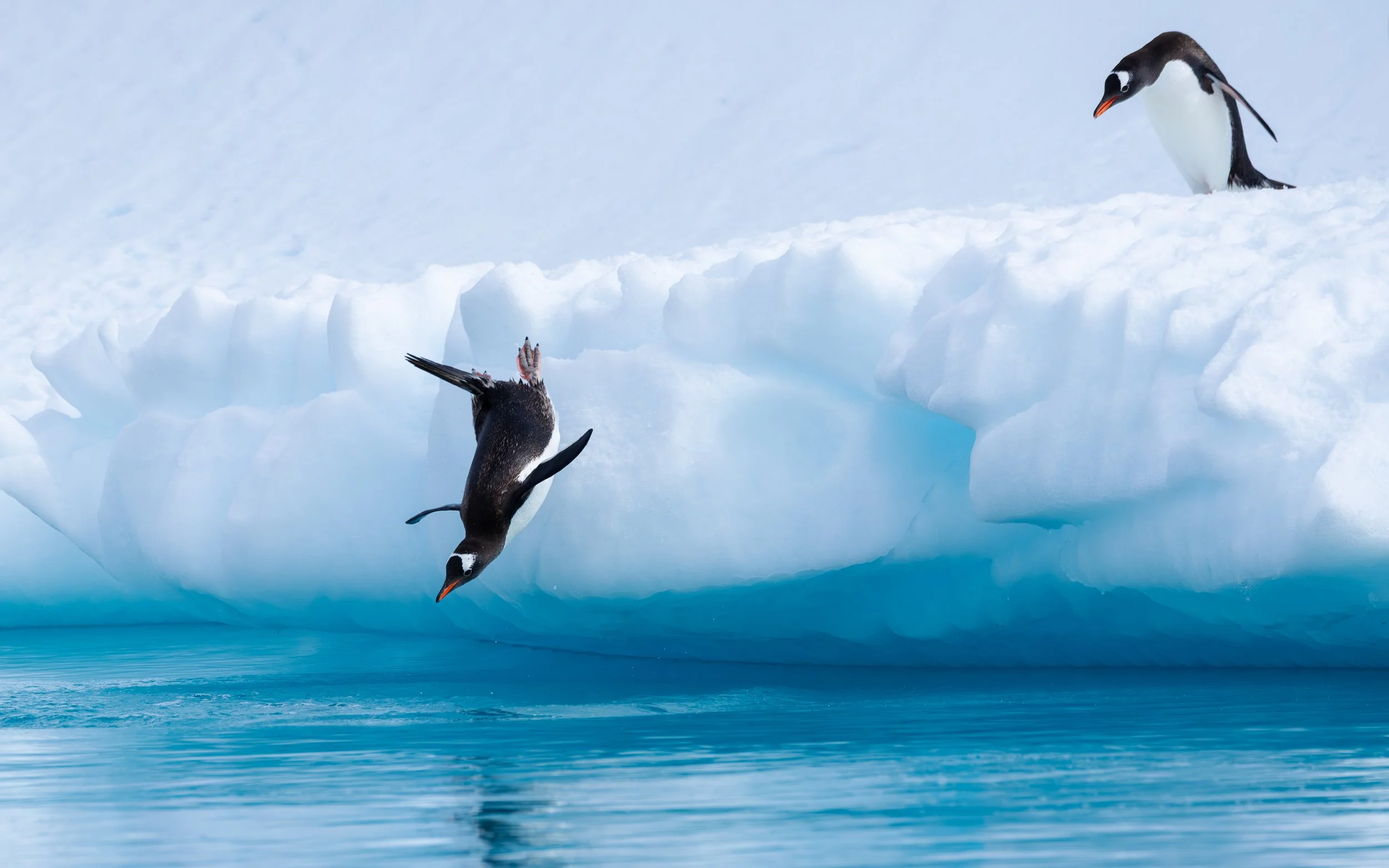 @Julie_Chandelier_Antarctica.jpg