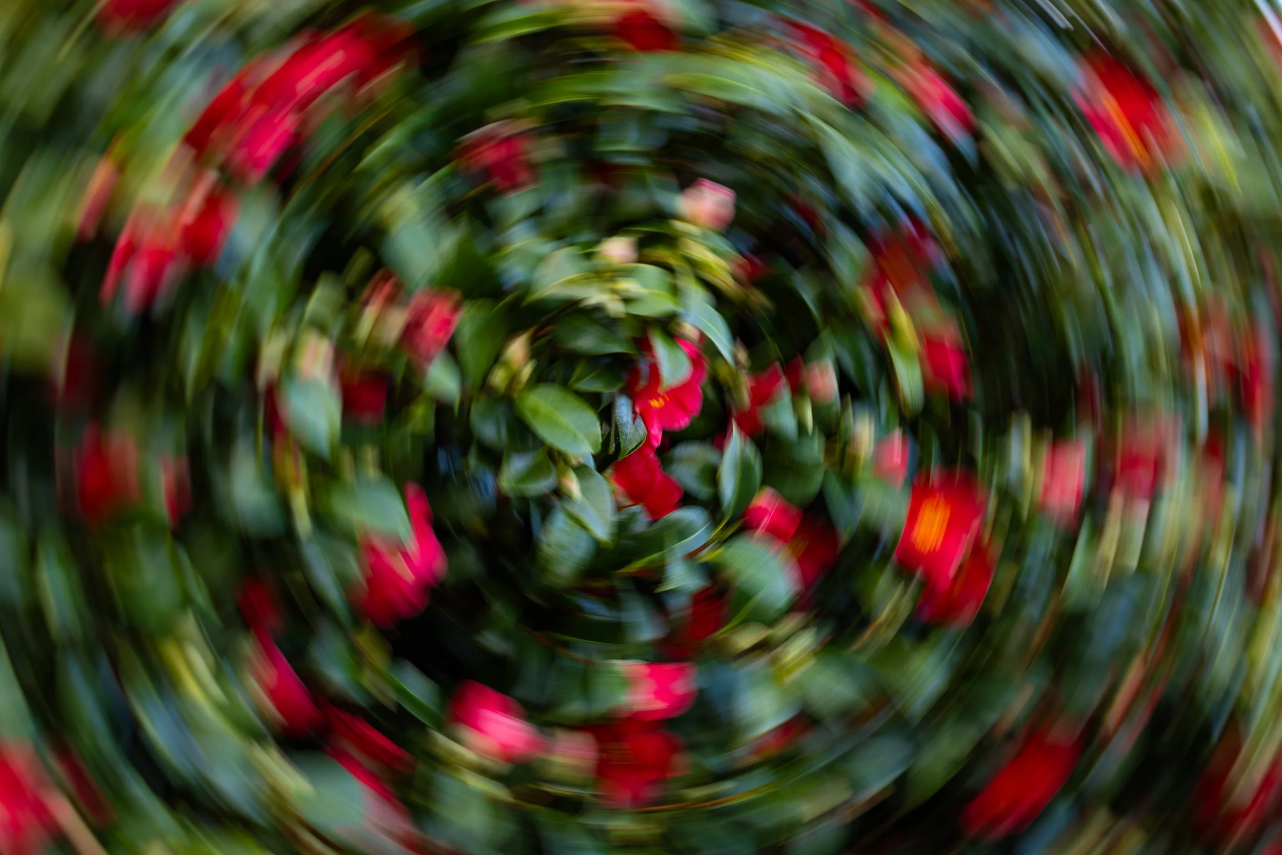 @Julie_Chandelier_Abstract_Around the block-4.jpg