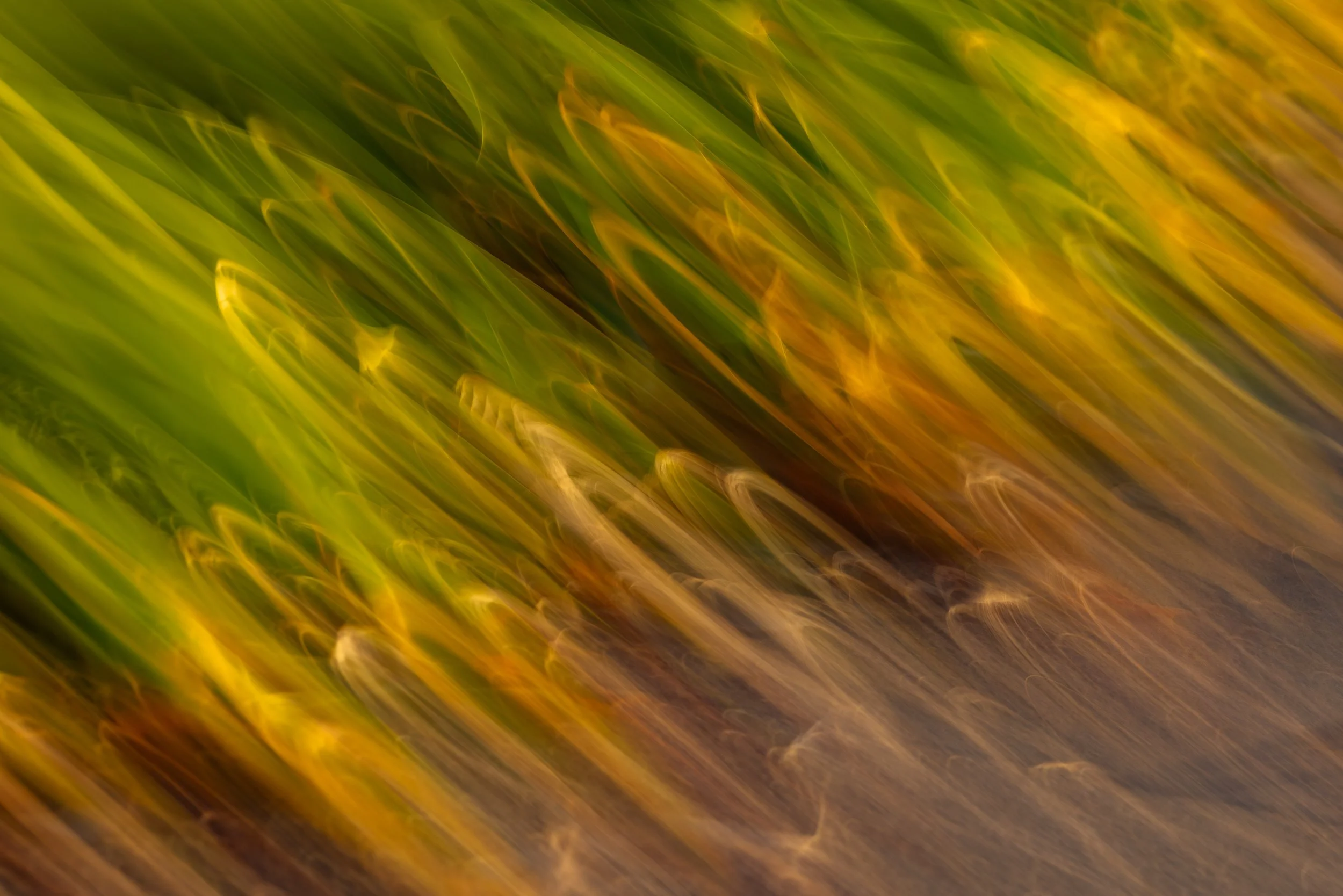 @Julie_Chandelier_Abstract_Around the block-7.jpg