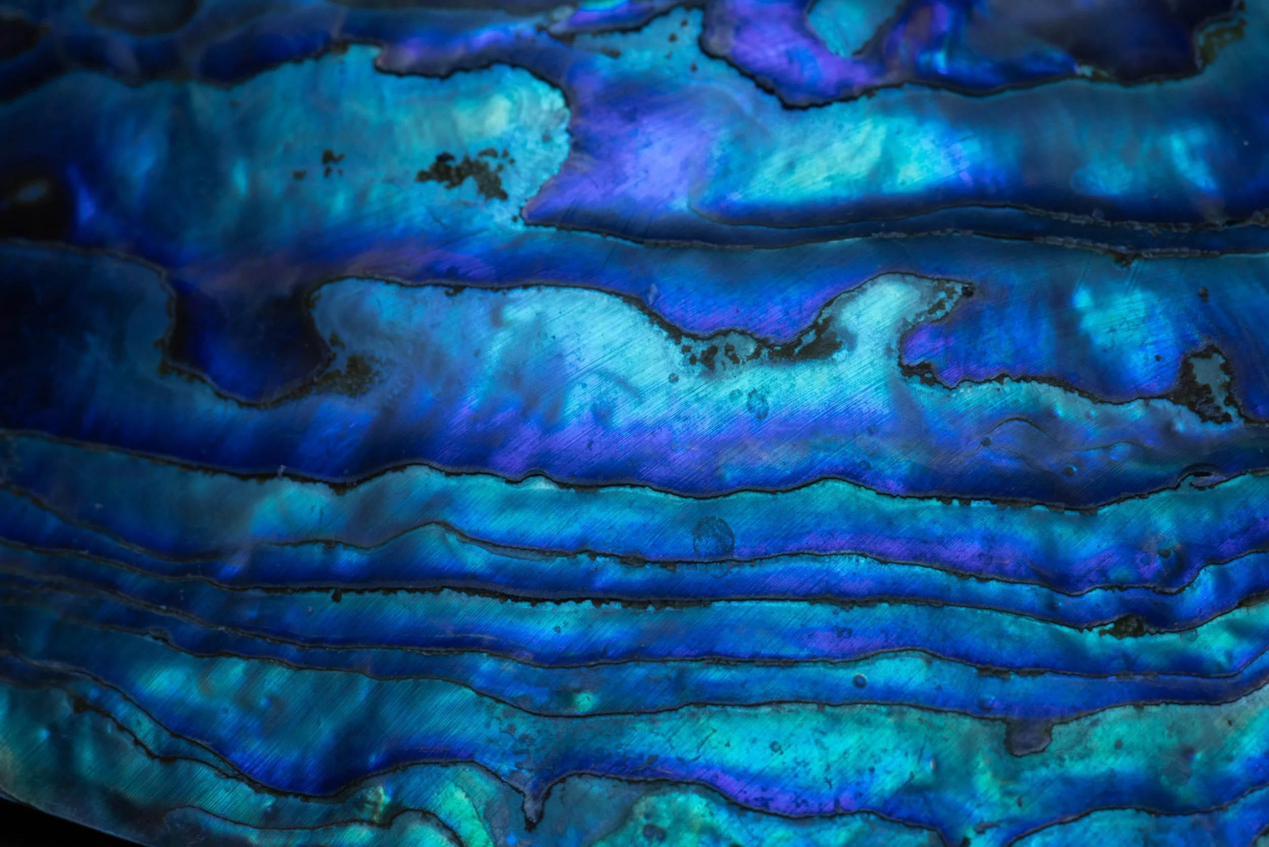 @Julie_Chandelier_Paua shell-2.jpg