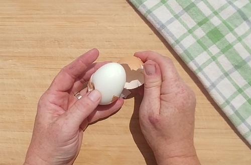 SavedImage_20190416_135046_06-1.jpg