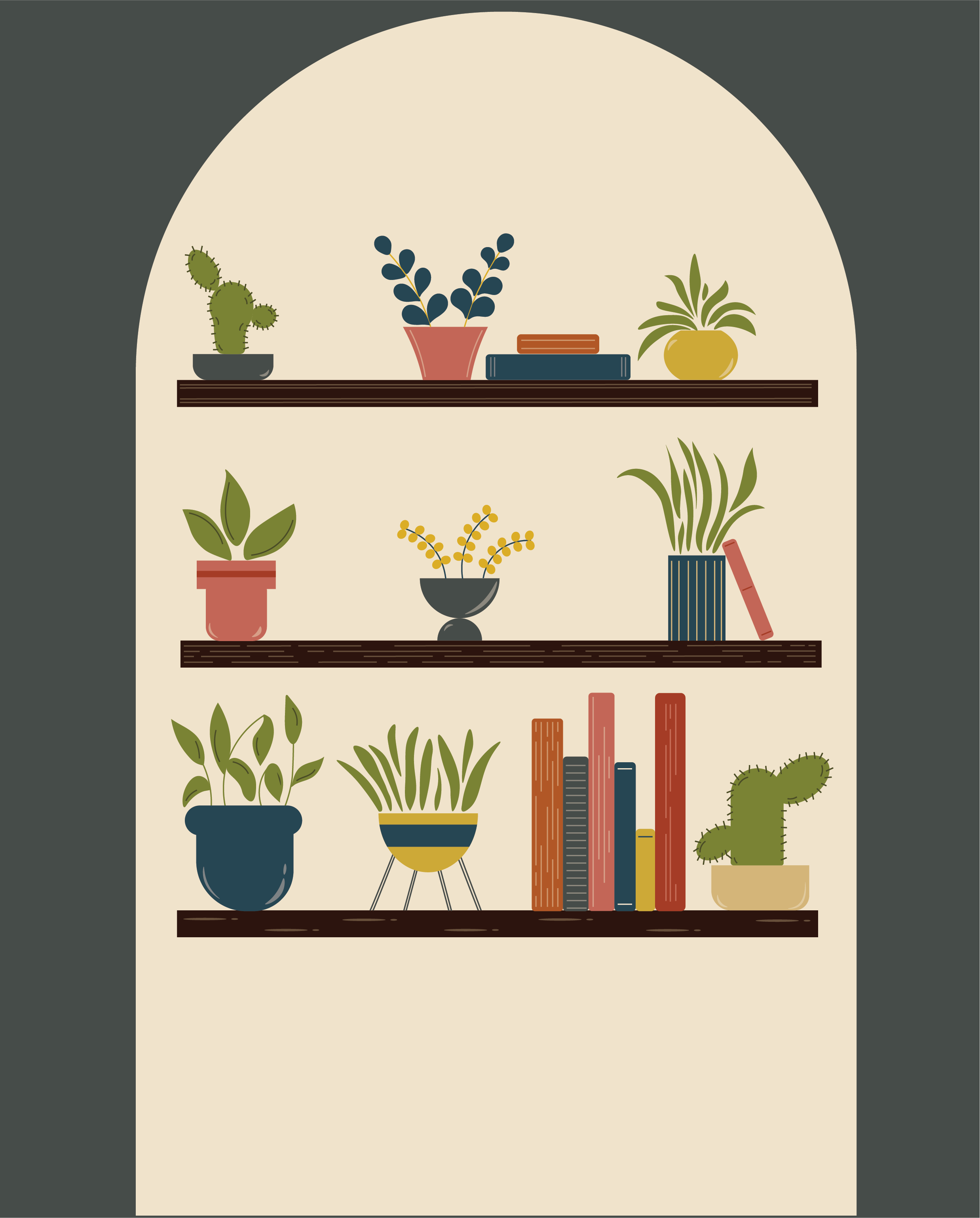 Plant line drawing-colour.png