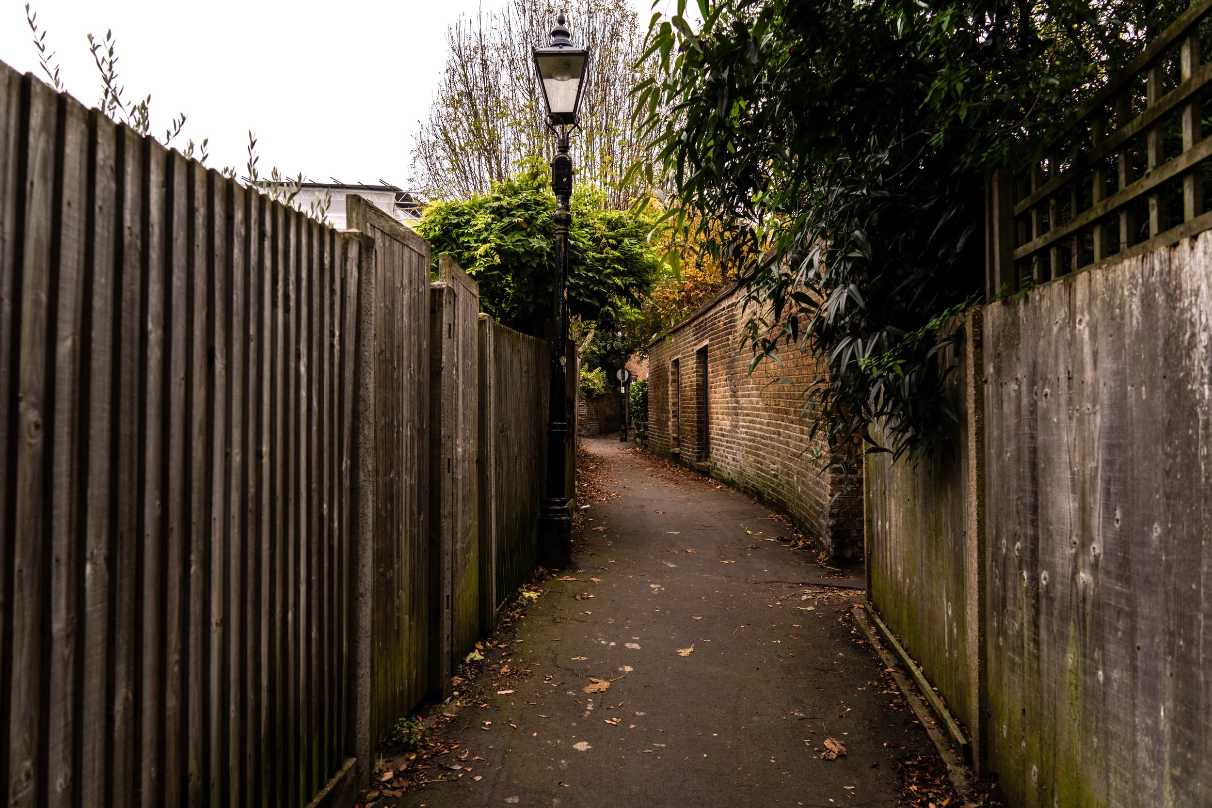 DSC01268 (1).jpg