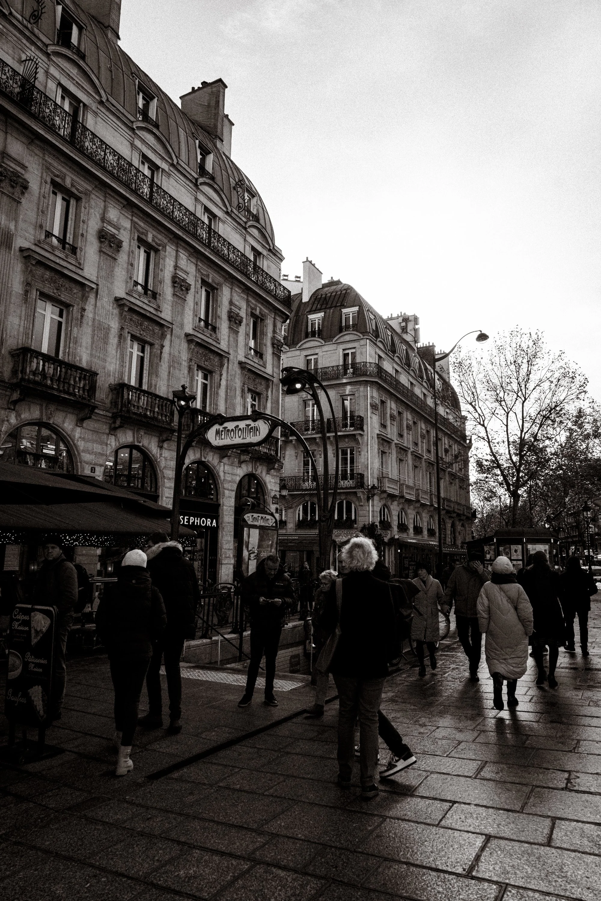 DSC01743-2.jpg