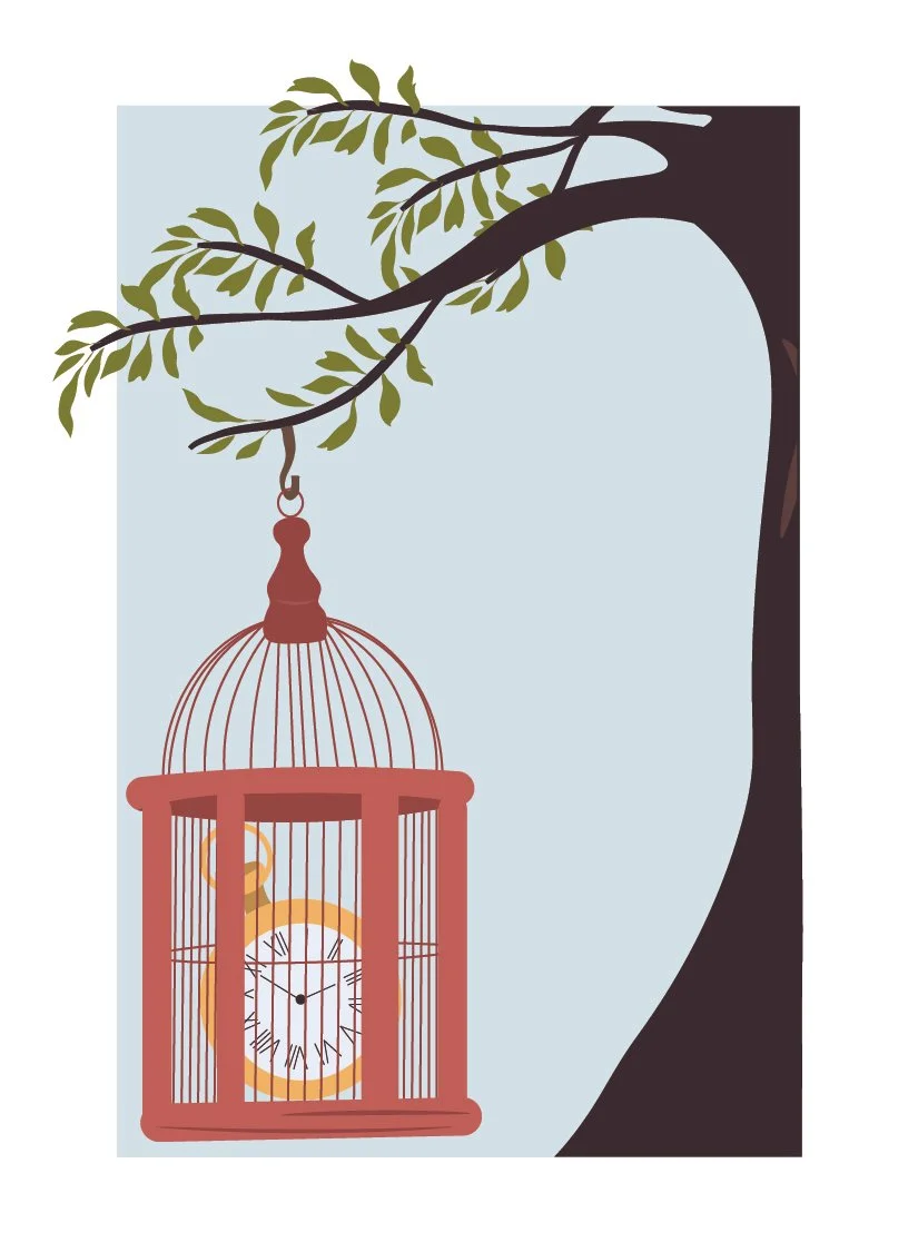 Birdcage.jpg