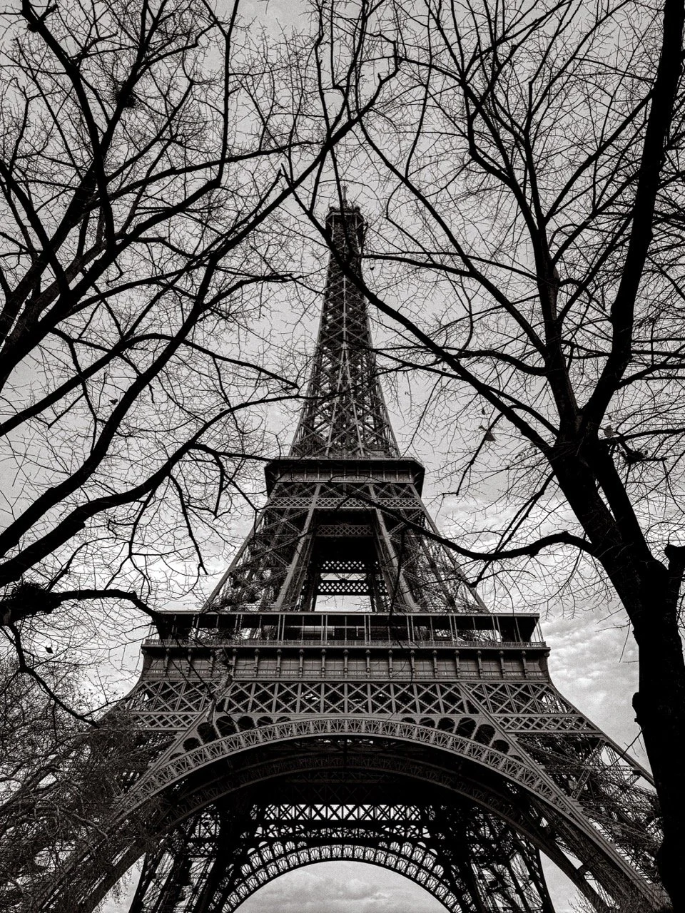 IMG_4151-2 Large.jpeg