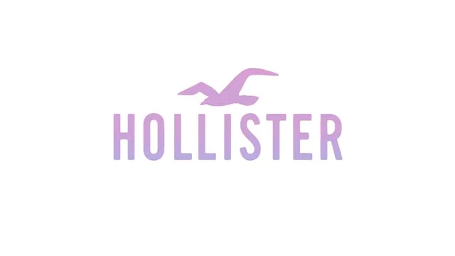 Hollister Carpe Now Transition