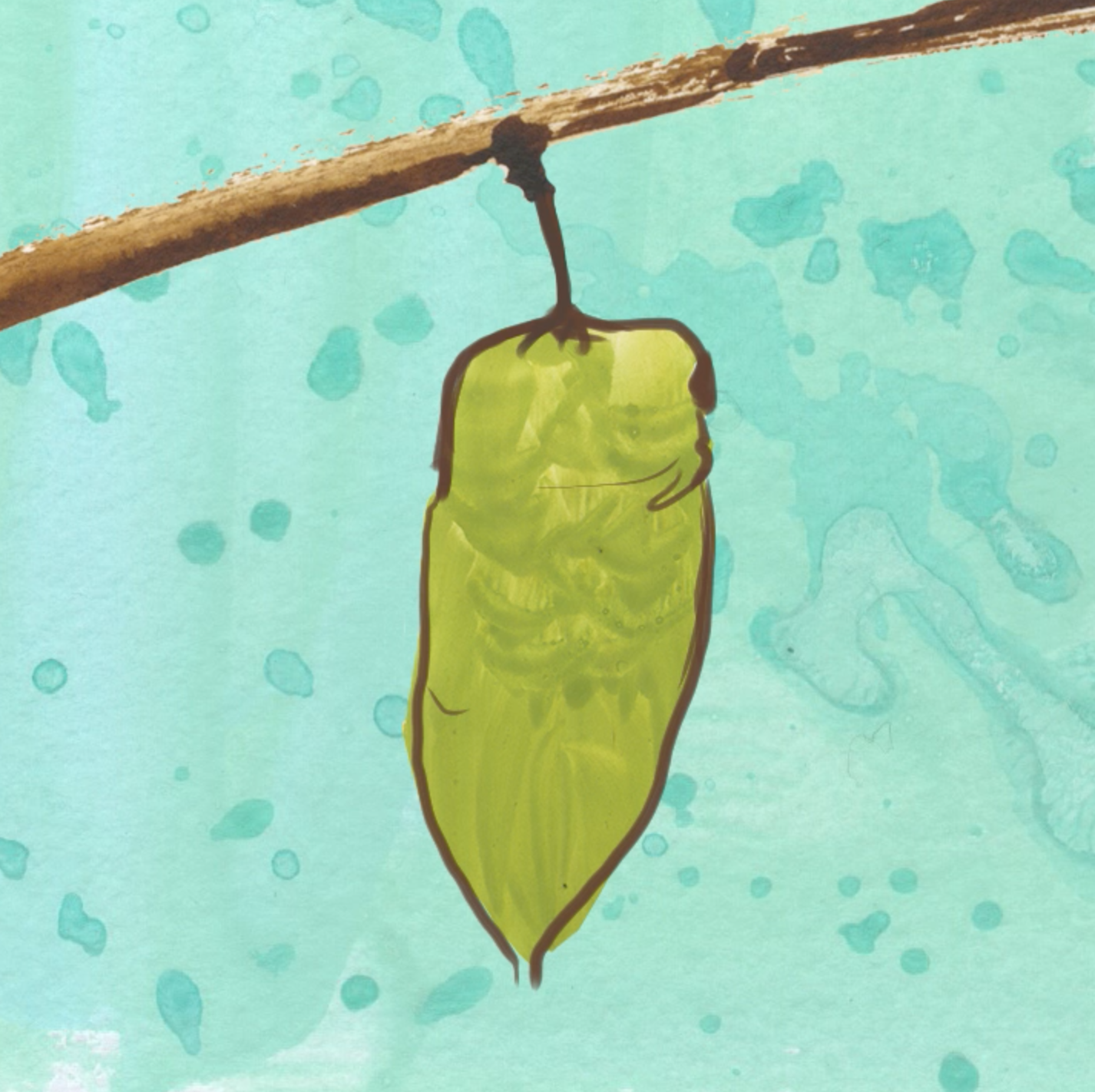 Metamorphosis