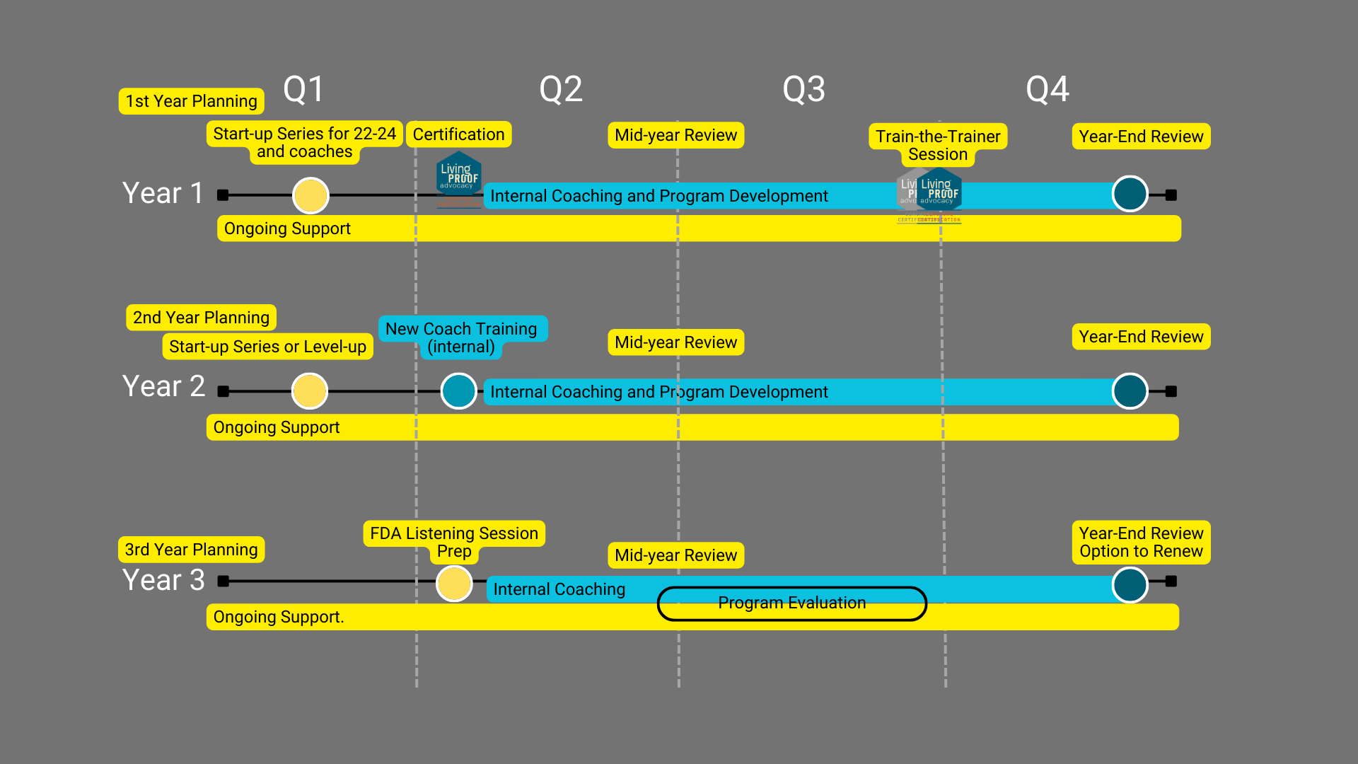 Three-year advocacy program timeline showing planning, start-up series, certification, internal coaching, mid-year and year-end reviews across quarters, with ongoing support throughout each year.webp