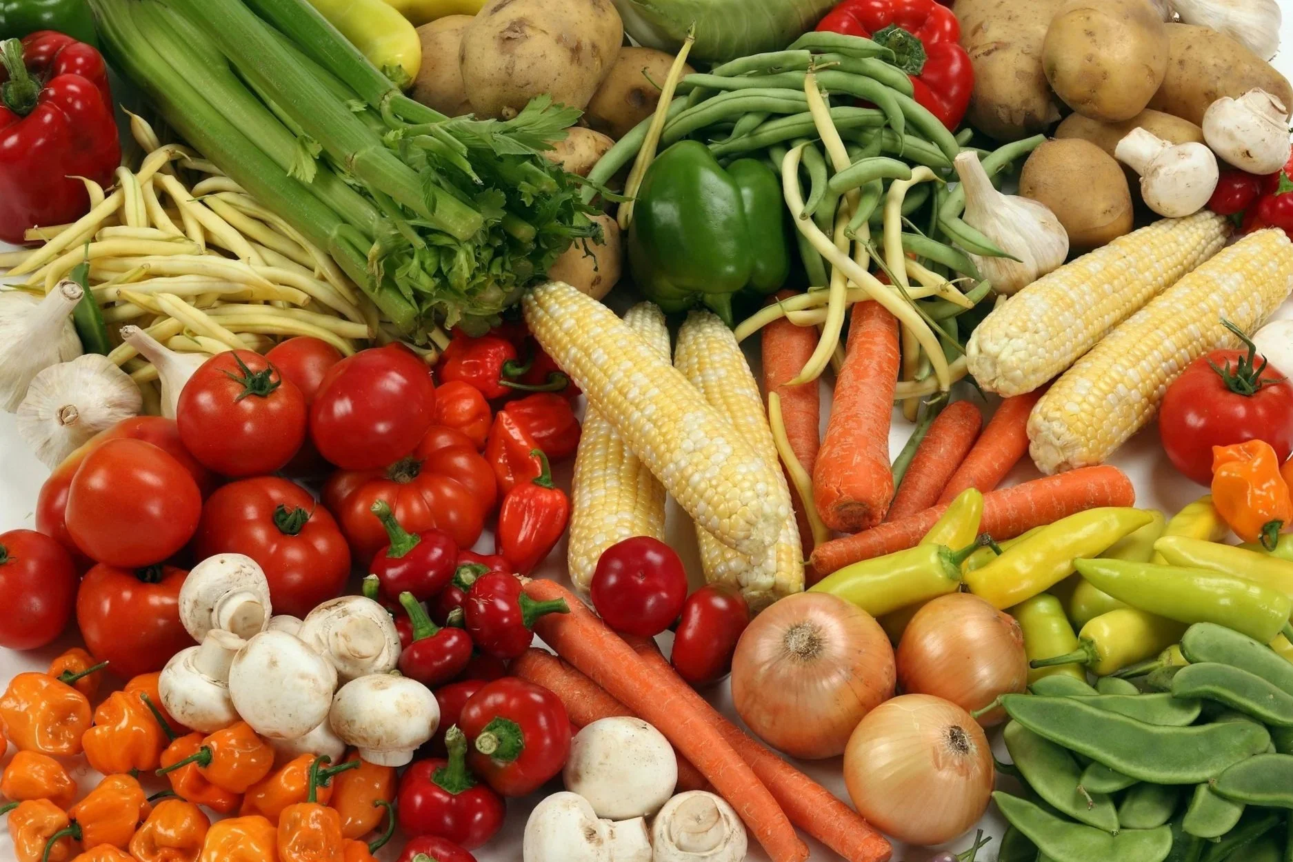 Coach Feature: Rachel Holmes and Anti-hunger Advocacy