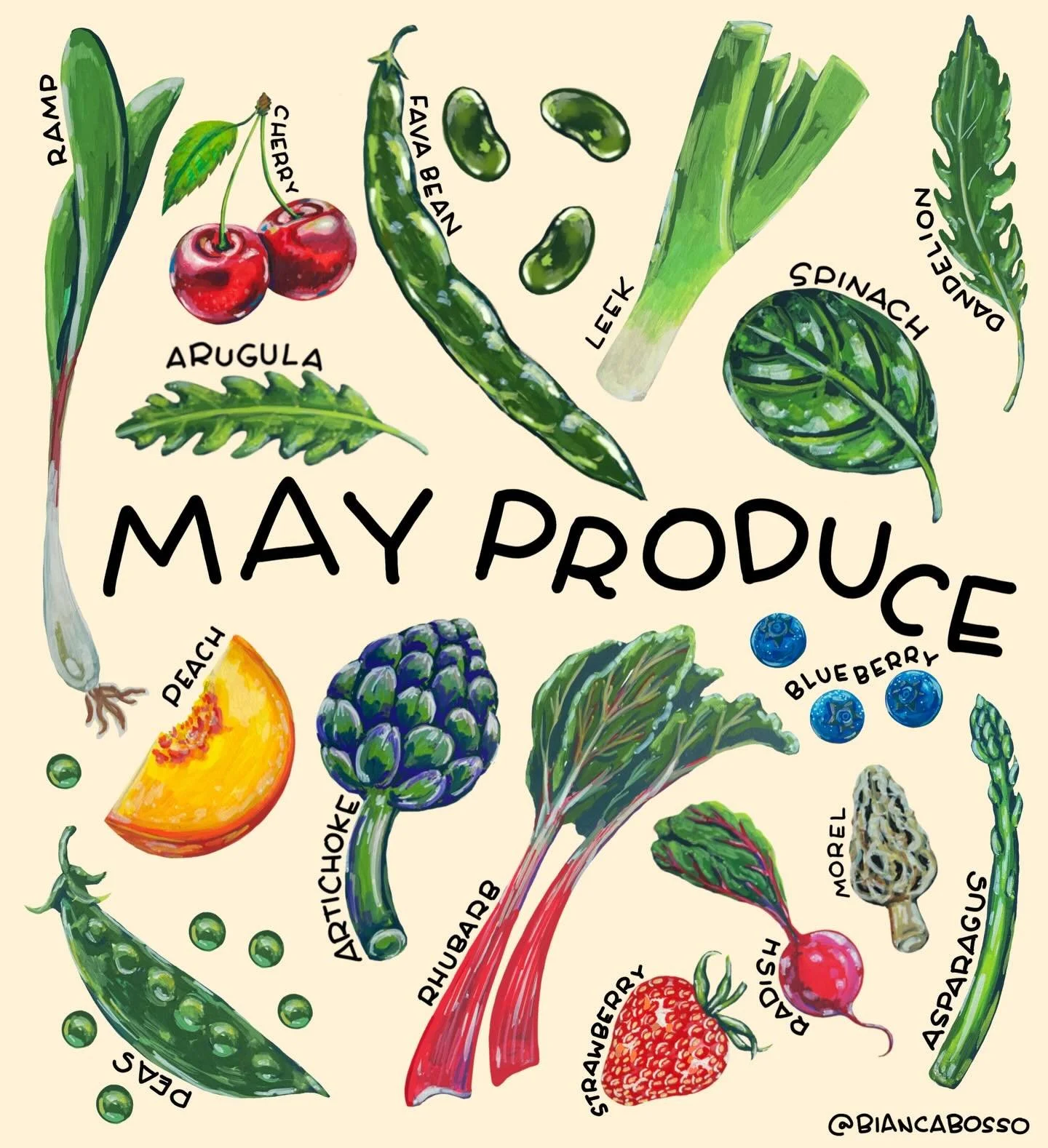 May has arrived, and the markets are finally starting to feel alive again. Spring produce is in full swing, and this is when everything starts to taste brighter, greener, and so much more exciting.

Here are some Italian-inspired recipes to make the 