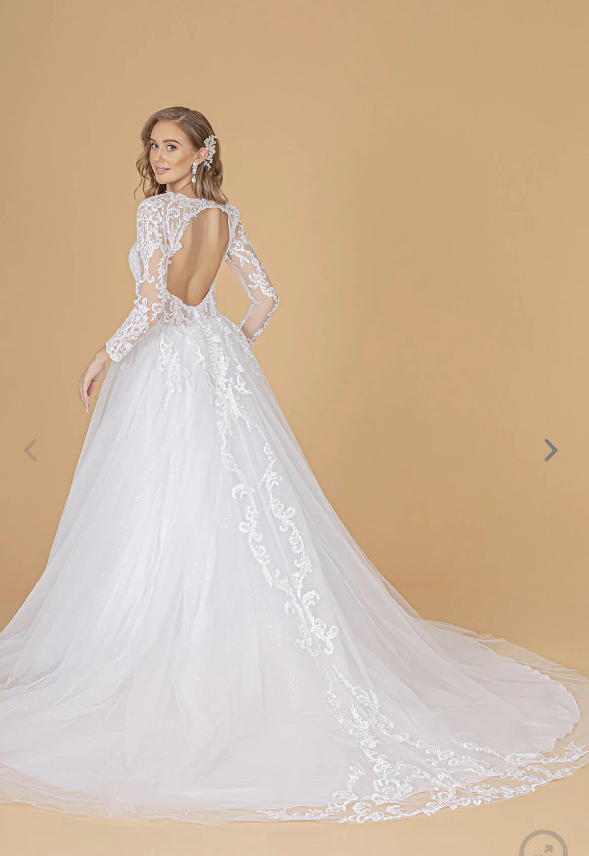 9366E501-87D8-4B13-B25C-8AC4D9F40B4A