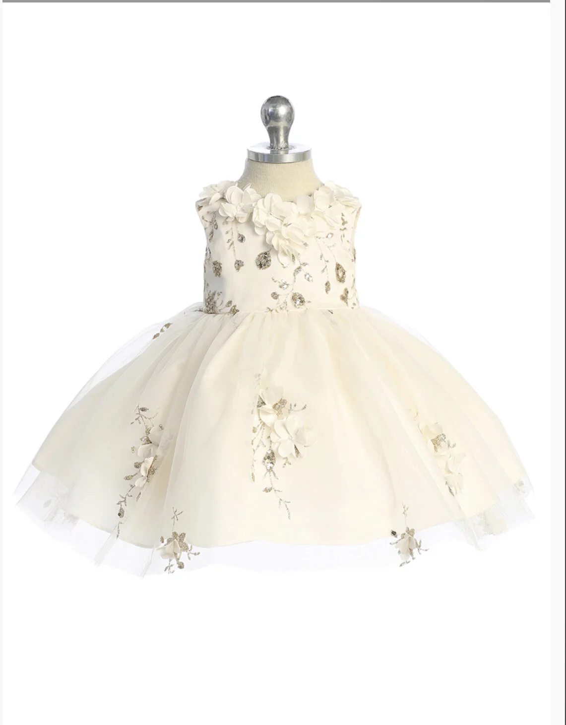 EF3328D6-842C-4D6A-BF61-977F84DBBB82