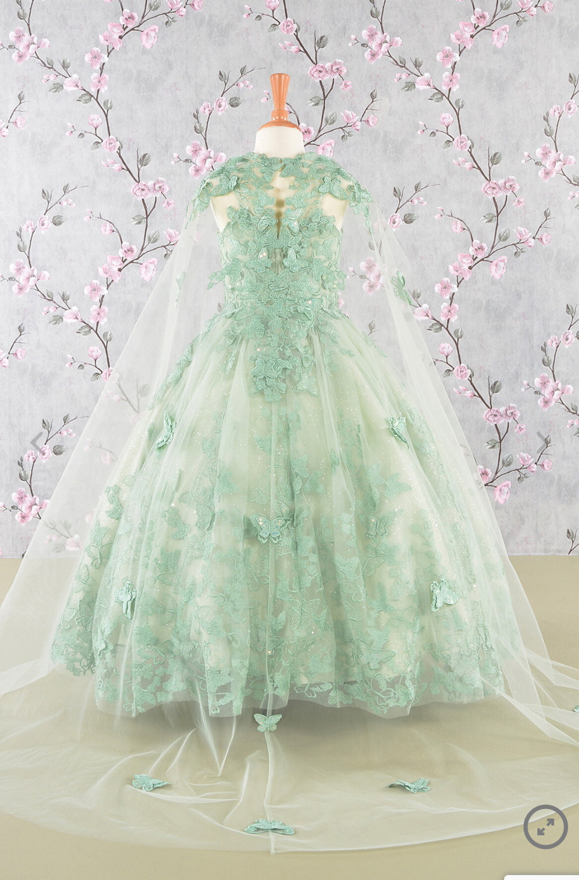 23CFE39C-0DD0-4D77-9FA6-A27196947134