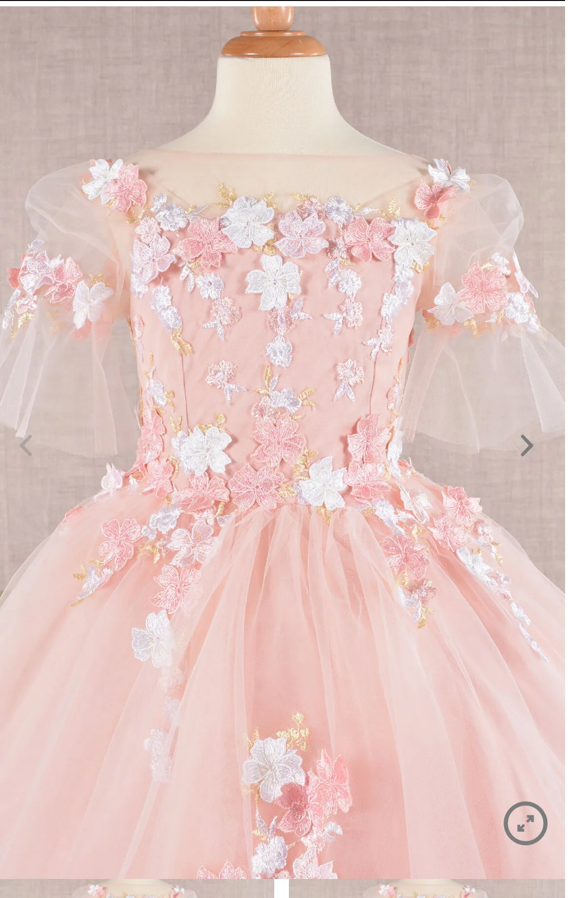 GK107 Elizabeth K 3D Floral Applique Mesh Kids Dress with Long