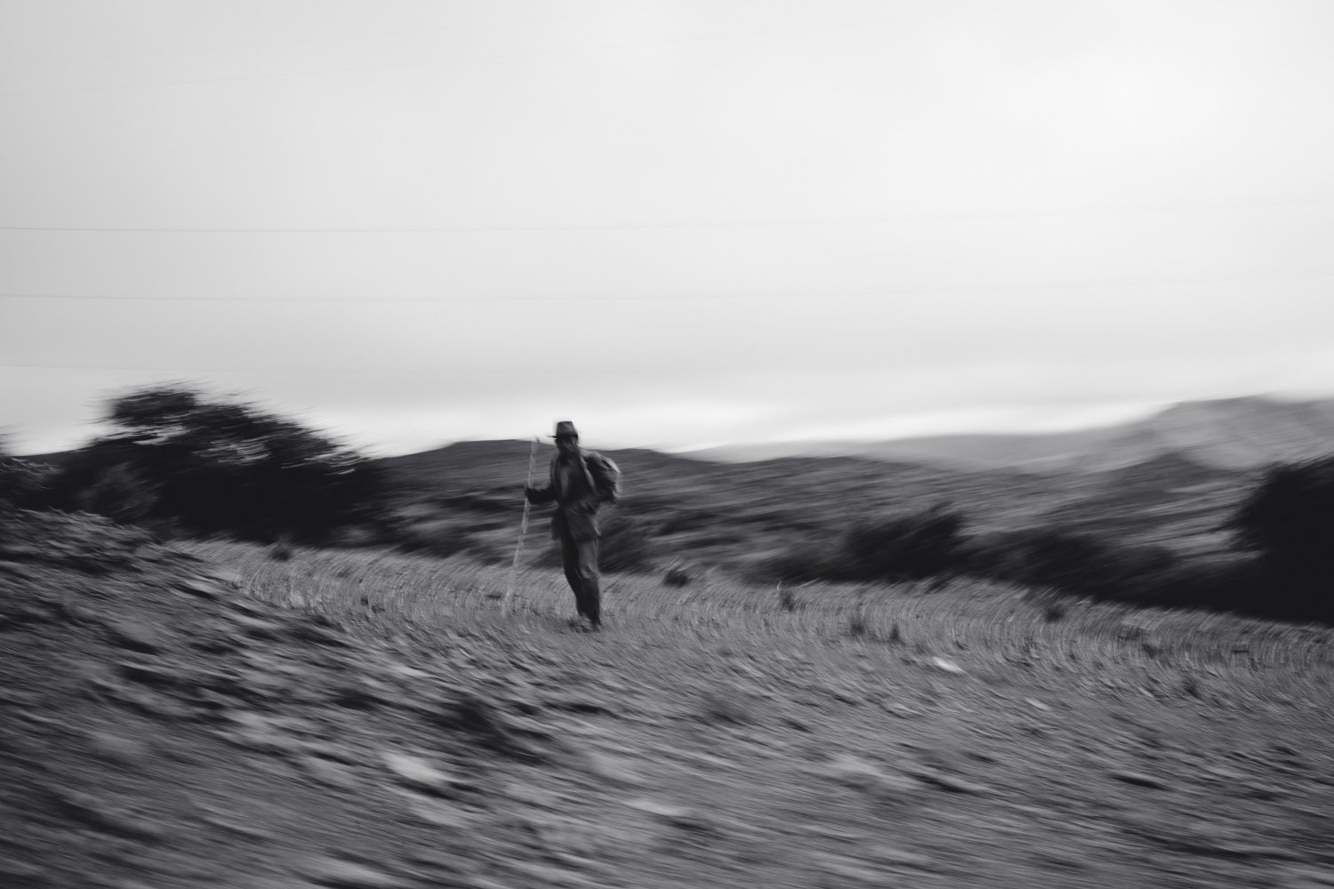   Hitchhiker.   2019. Bolivia. 