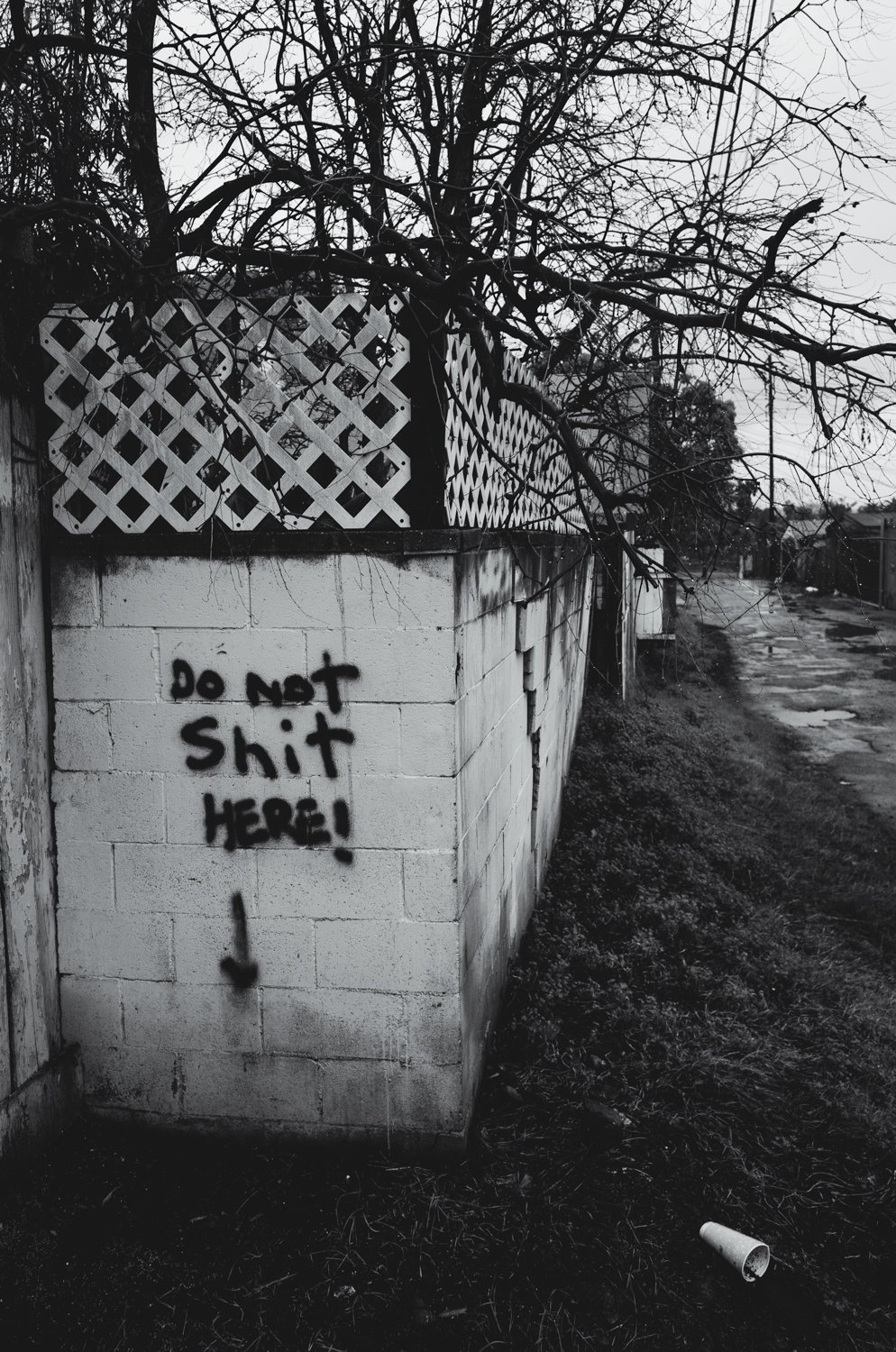   Do Not Shit Here.  2021. Los Angeles.  