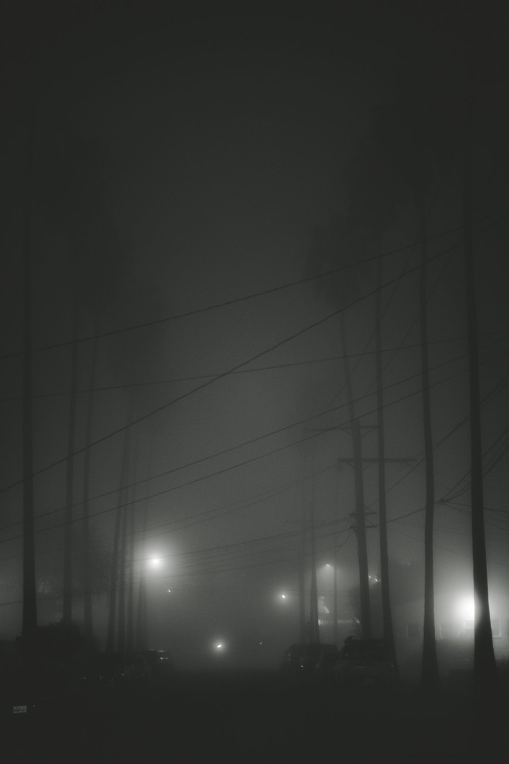  Fog at Home.  2021. Los Angeles.  