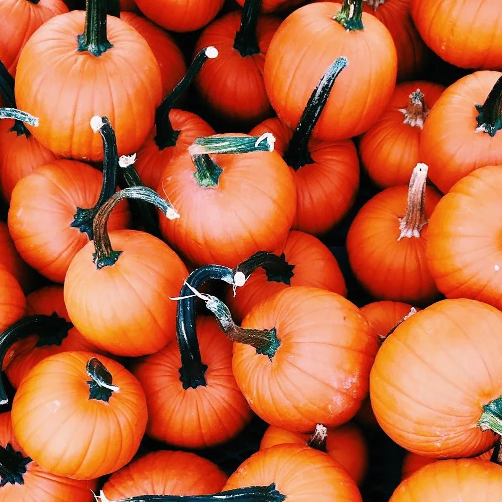 Monthly Roundup: September Favorites