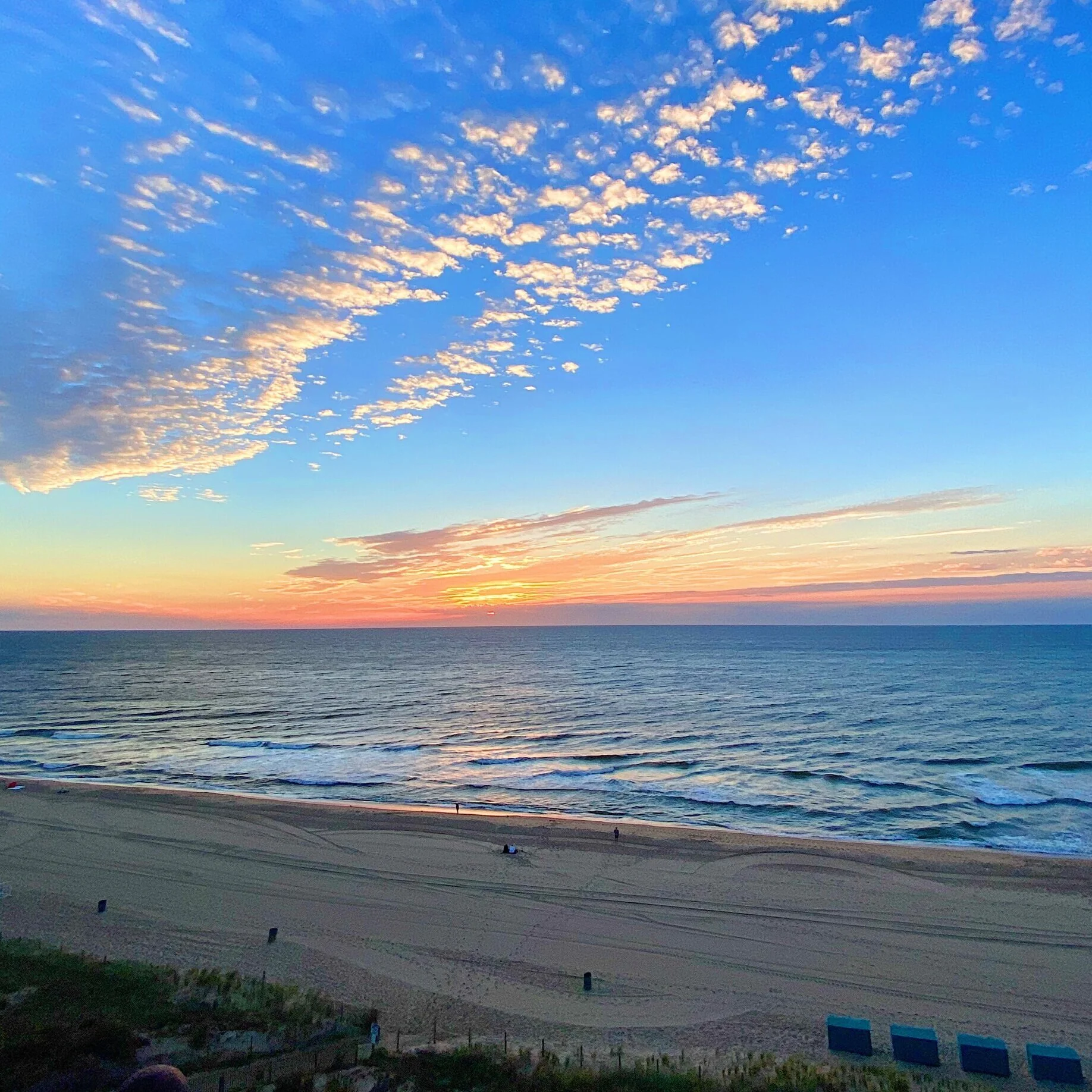 coast keri knot dress green