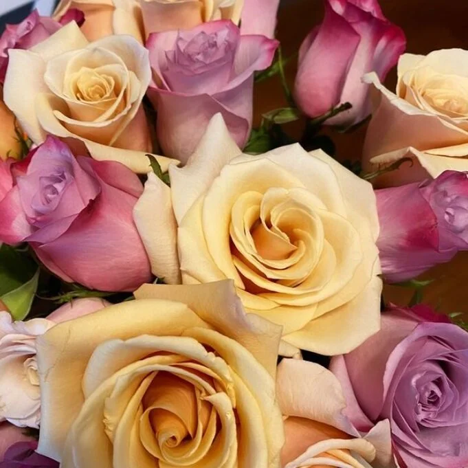 On My Radar: Cozy Edition