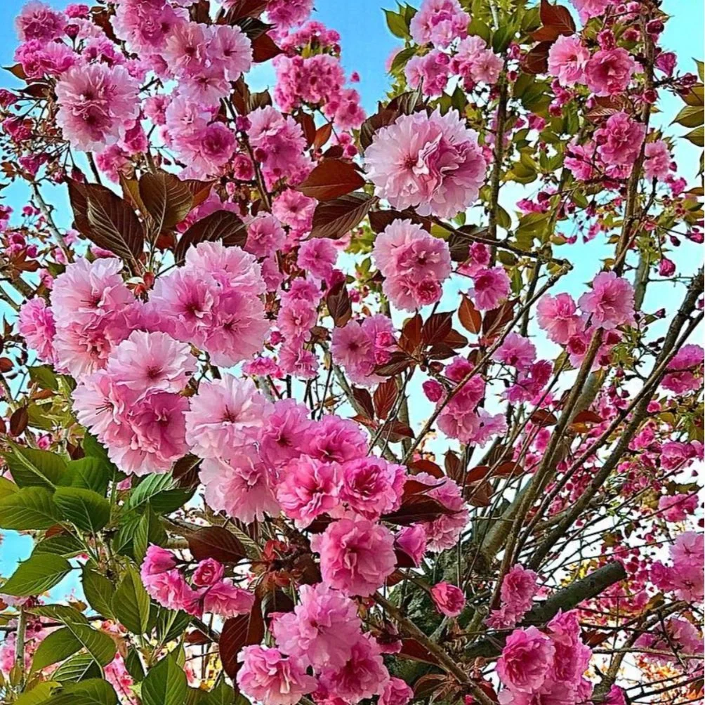 My 5 Spring Weather Essentials