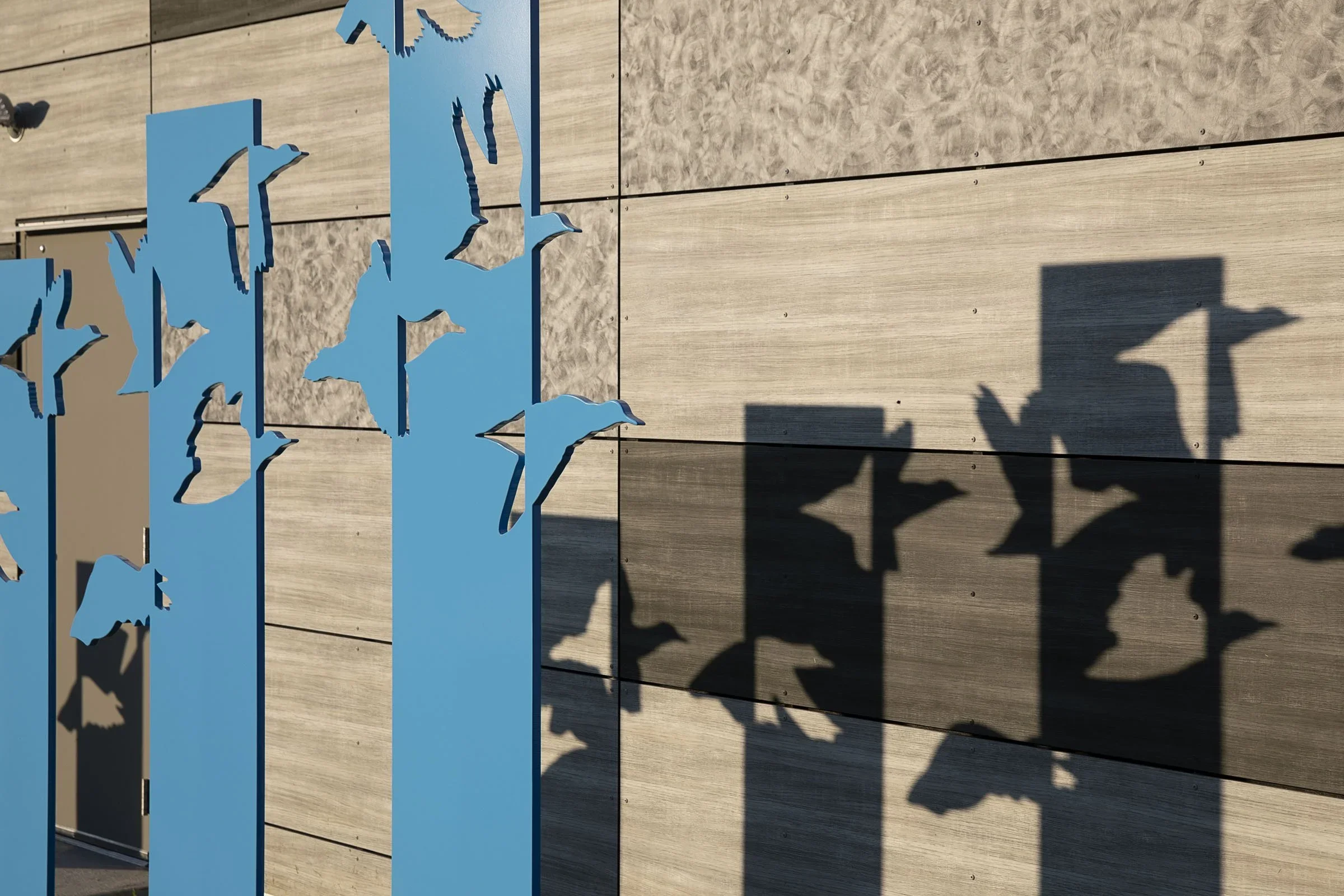 20200714-as-cs-homer-412 (1).webp