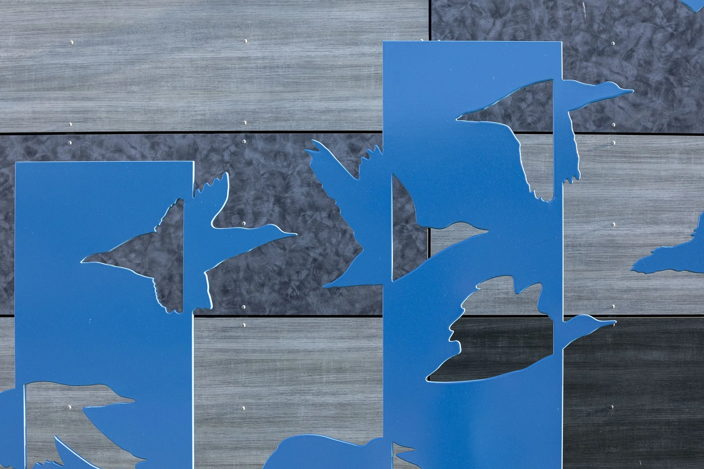 20200714-as-cs-homer-432 (1).webp