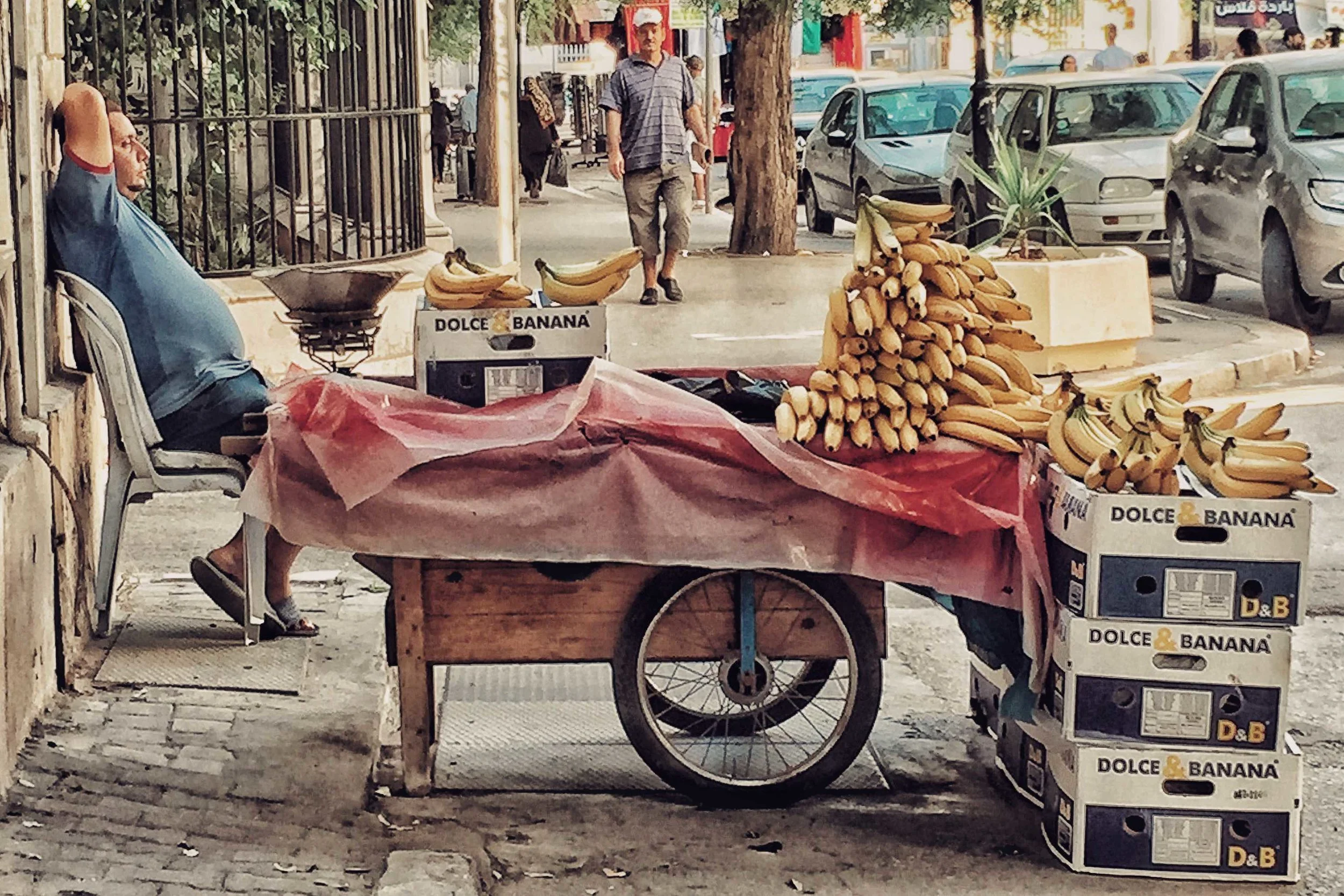 Tunisia Dolce and Banana Man Napping.jpg