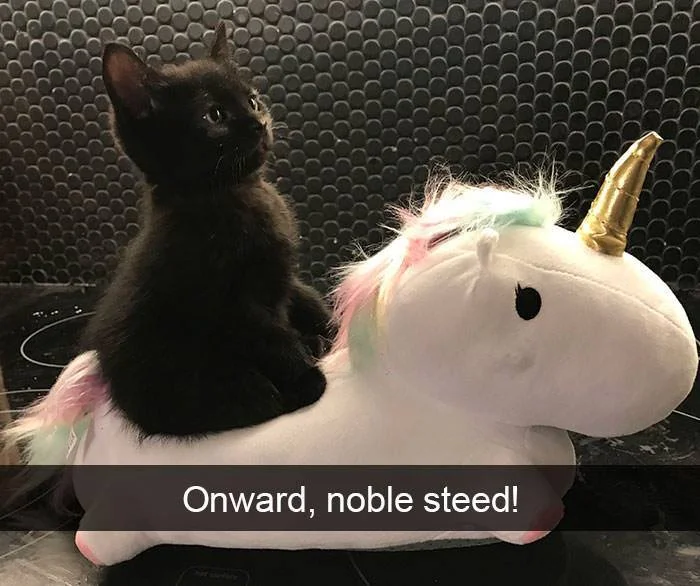 Not a merry-go-round unicorn, but you get the idea.