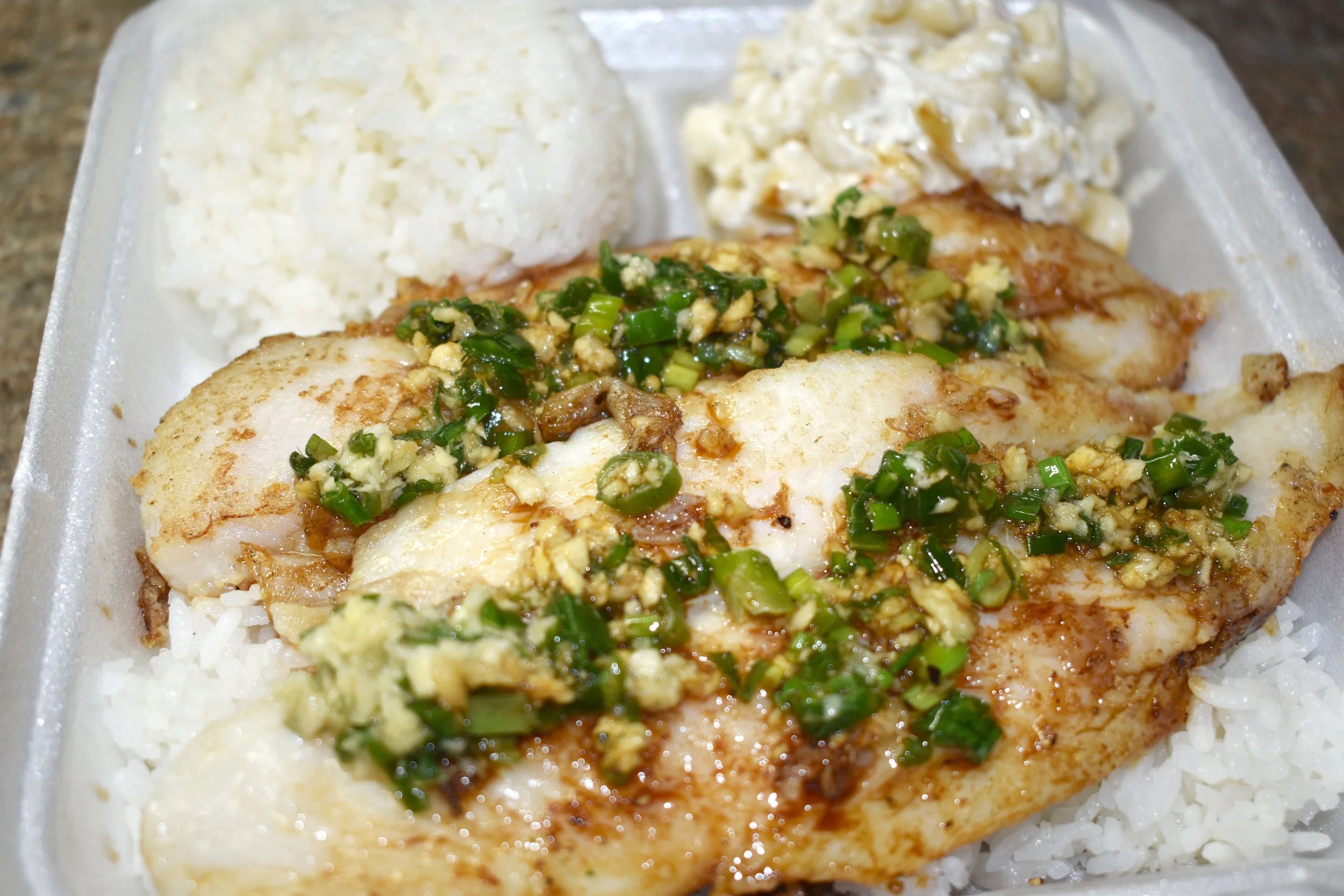 Ginger Onion Grilled Fish