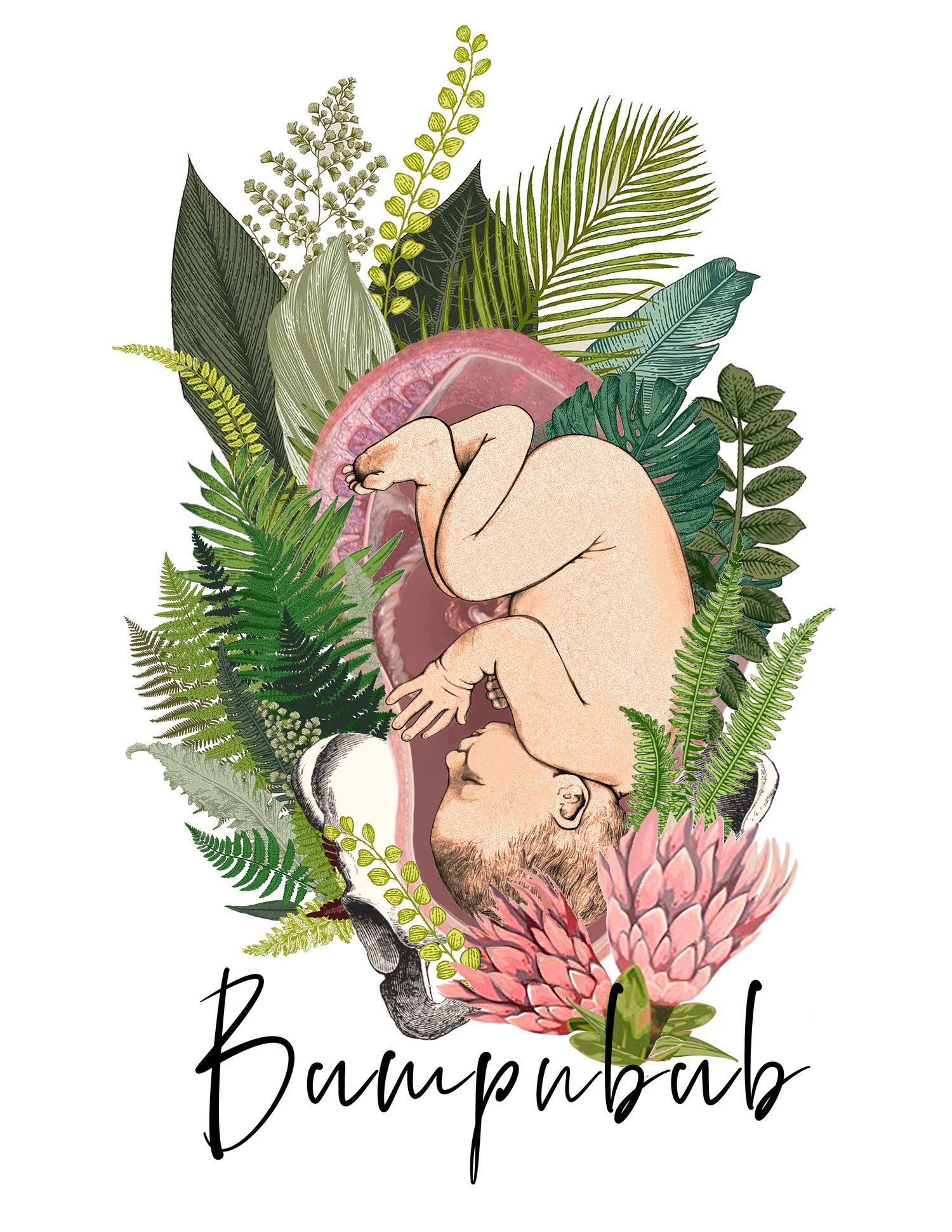 Bumpnbub-Logo.jpg